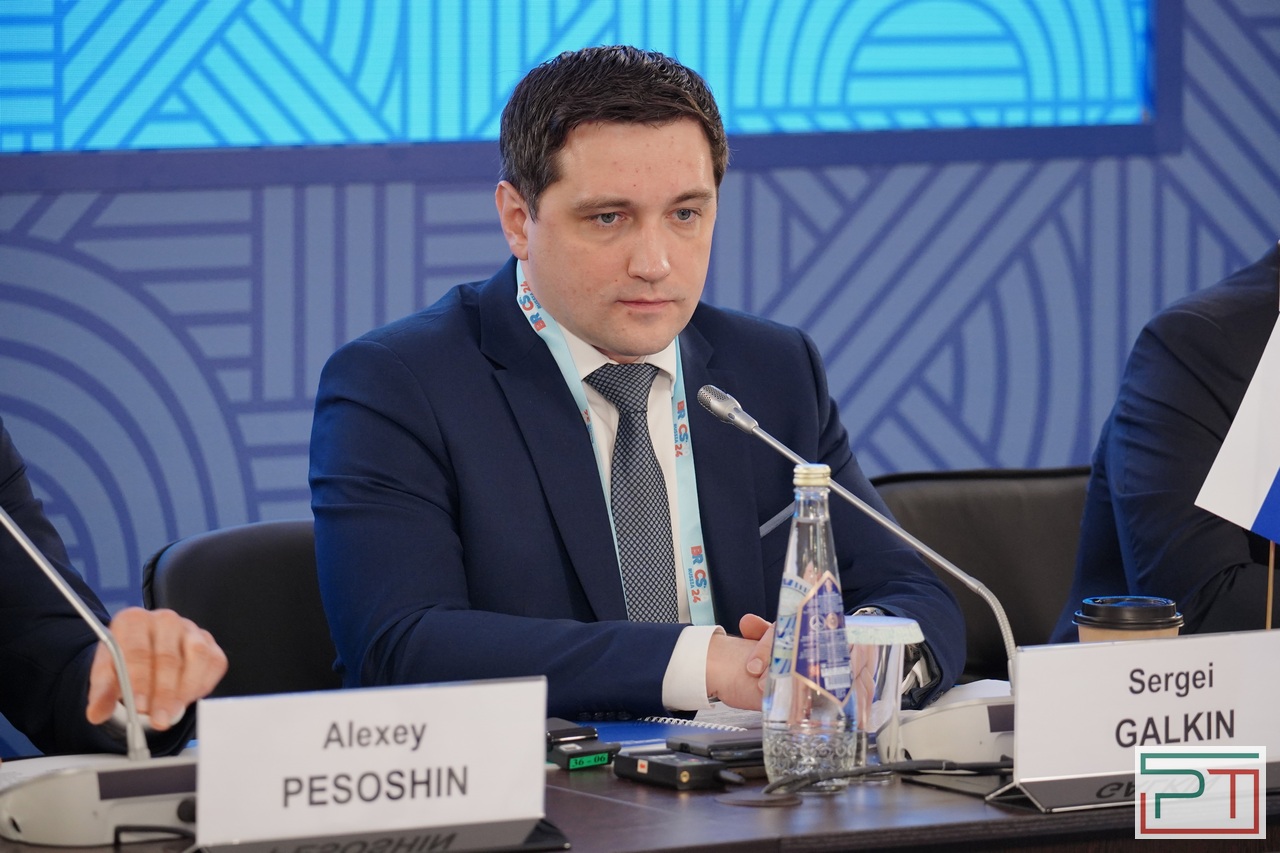 Заседание глав национальных статистических ведомств БРИКС