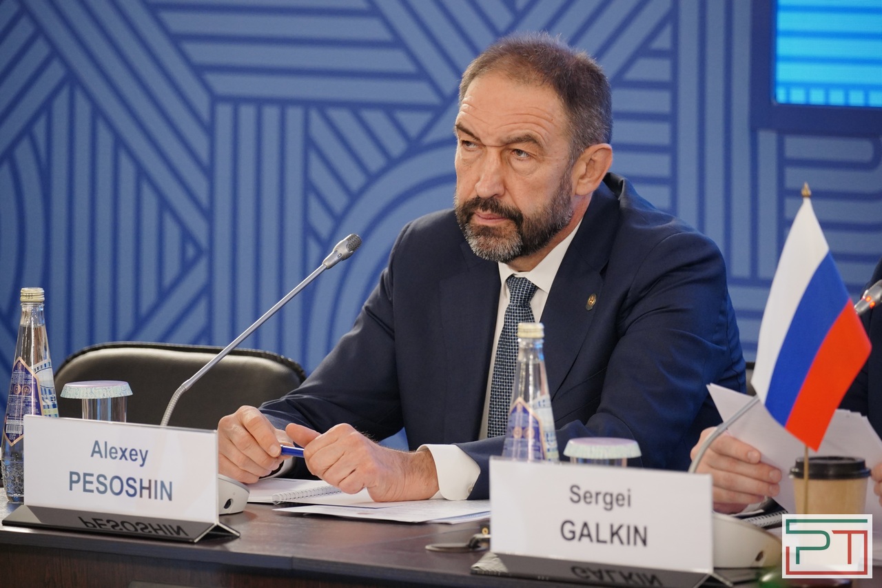 Заседание глав национальных статистических ведомств БРИКС