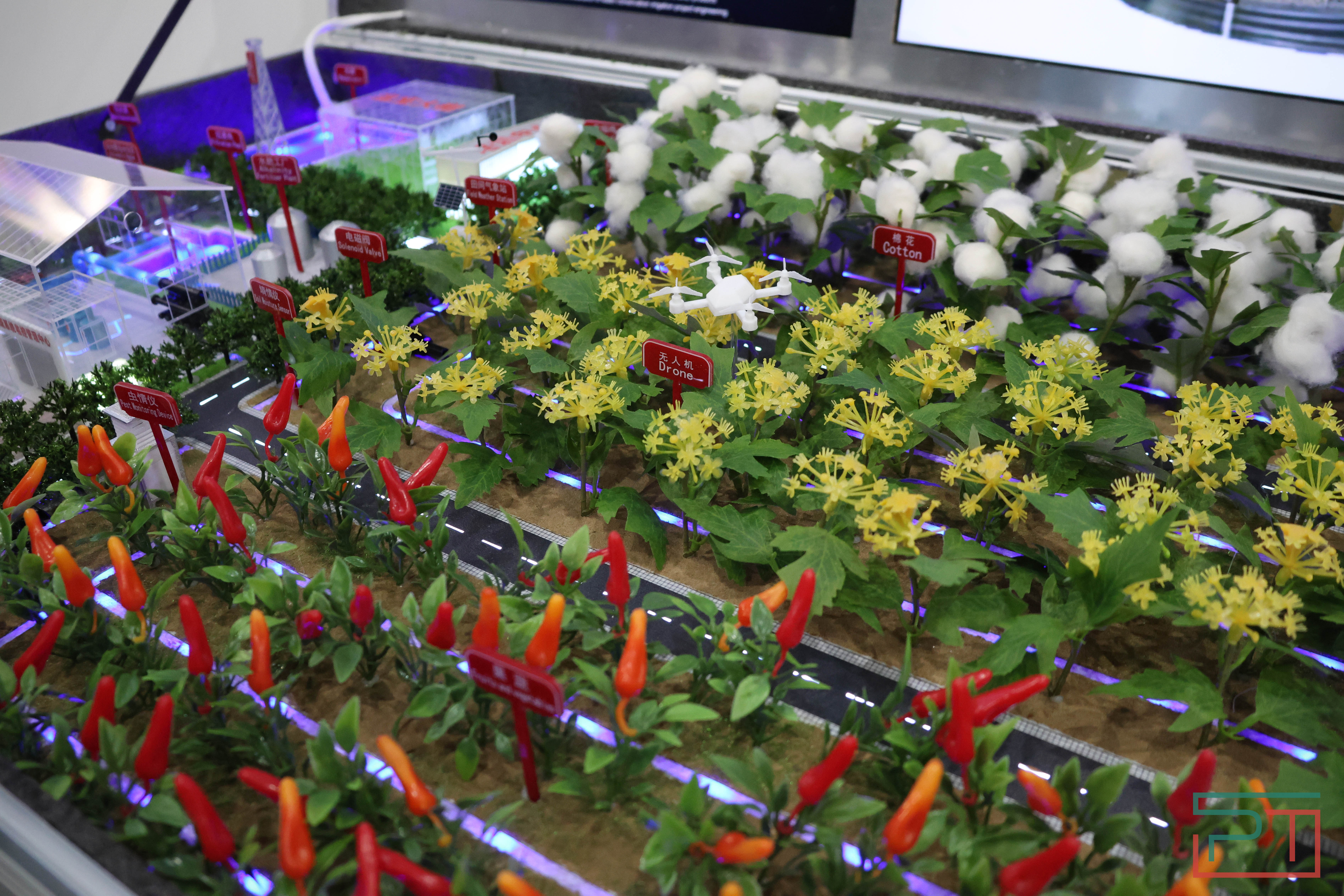 Форум «РОСТКИ: Россия и Китай»