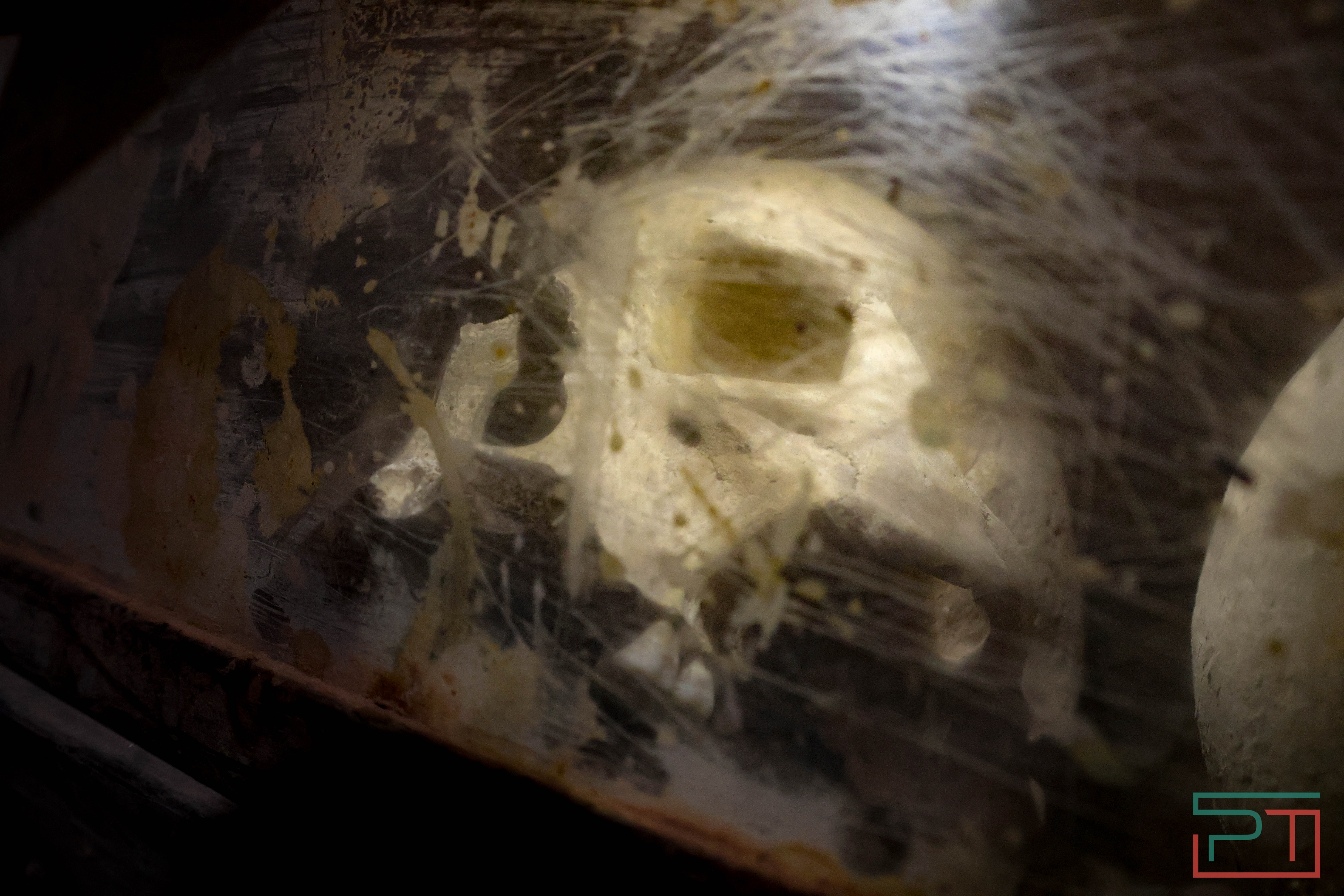 Реставрация «Памятника Павшим воинам»