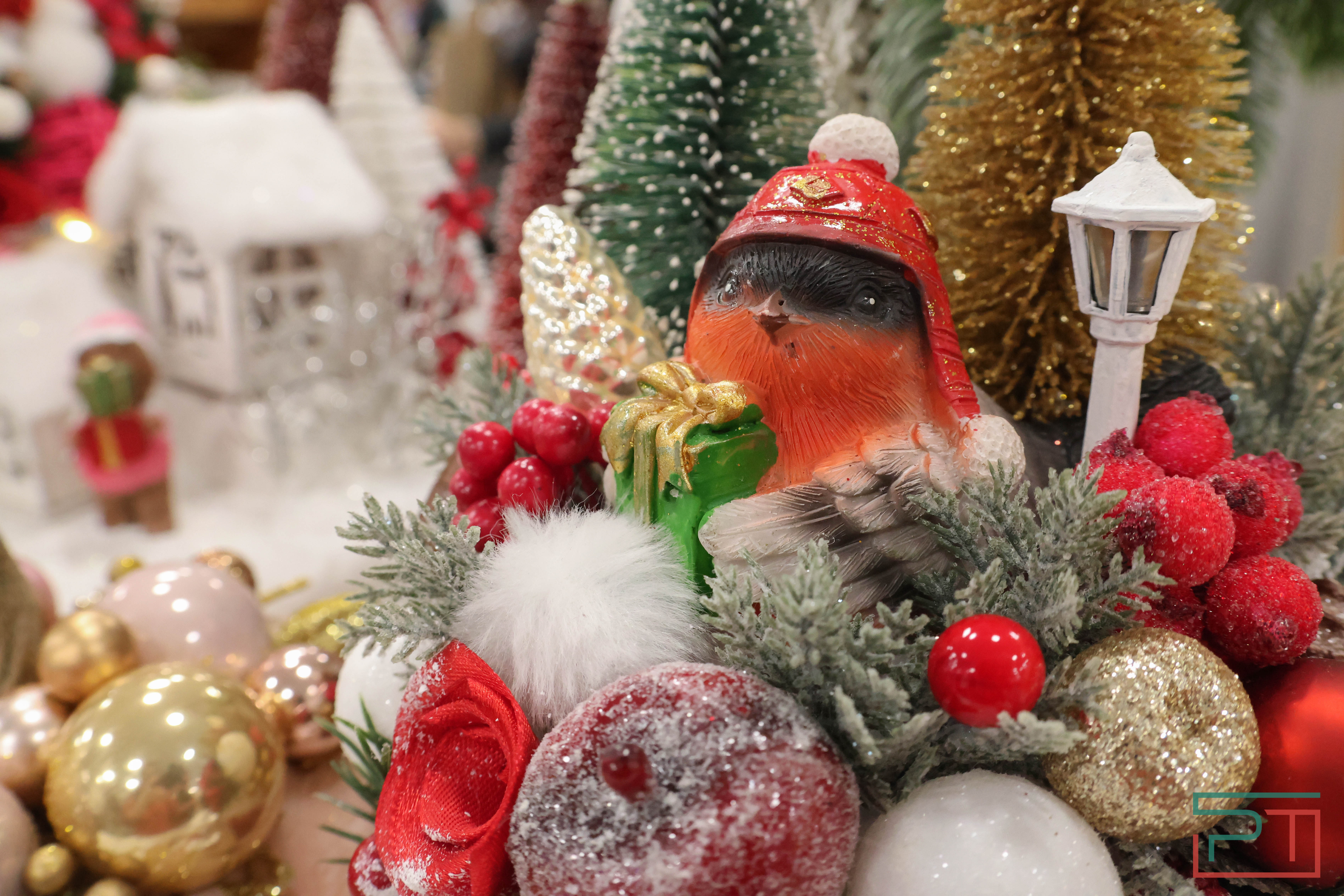 Самозанятый Fest