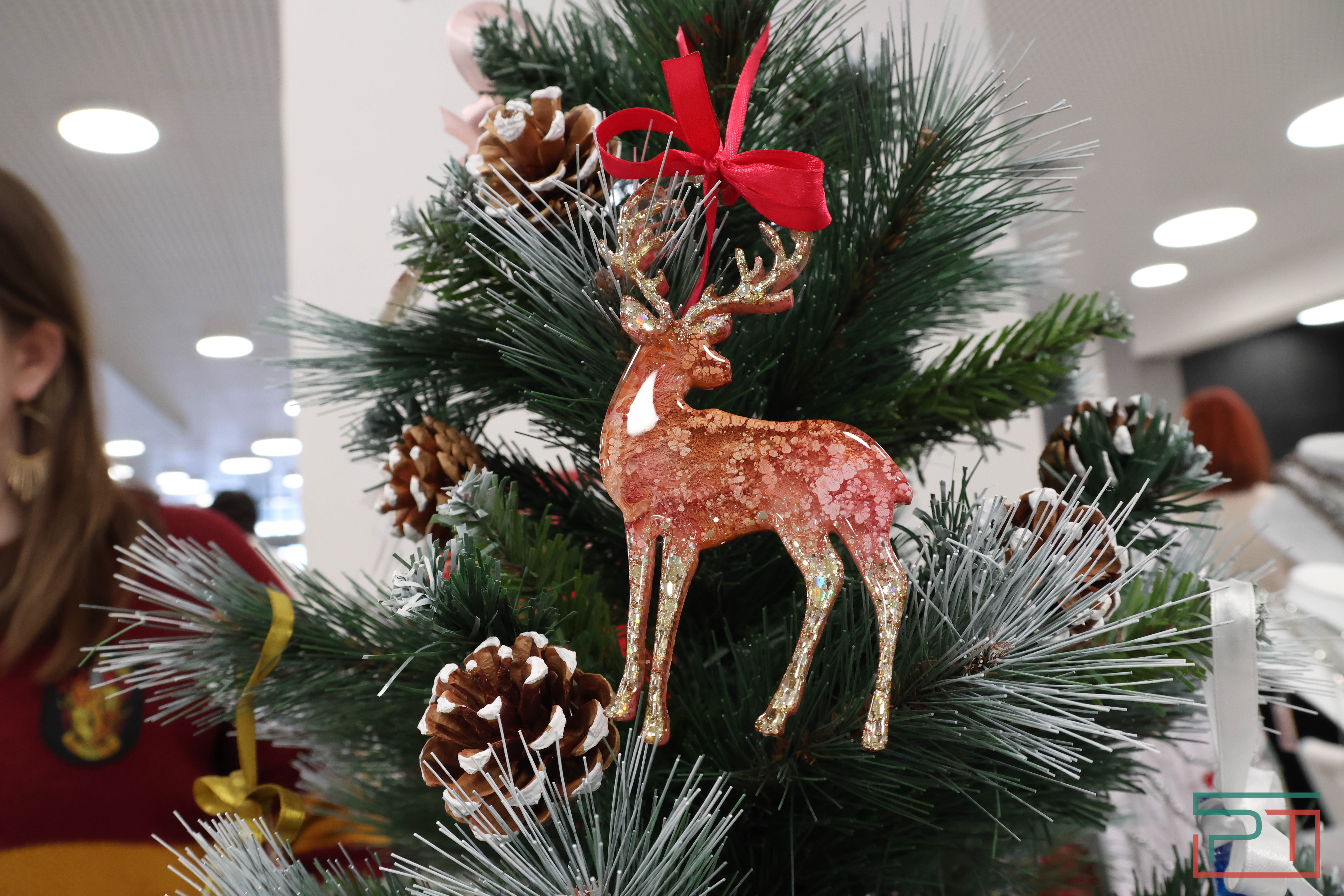 Самозанятый Fest