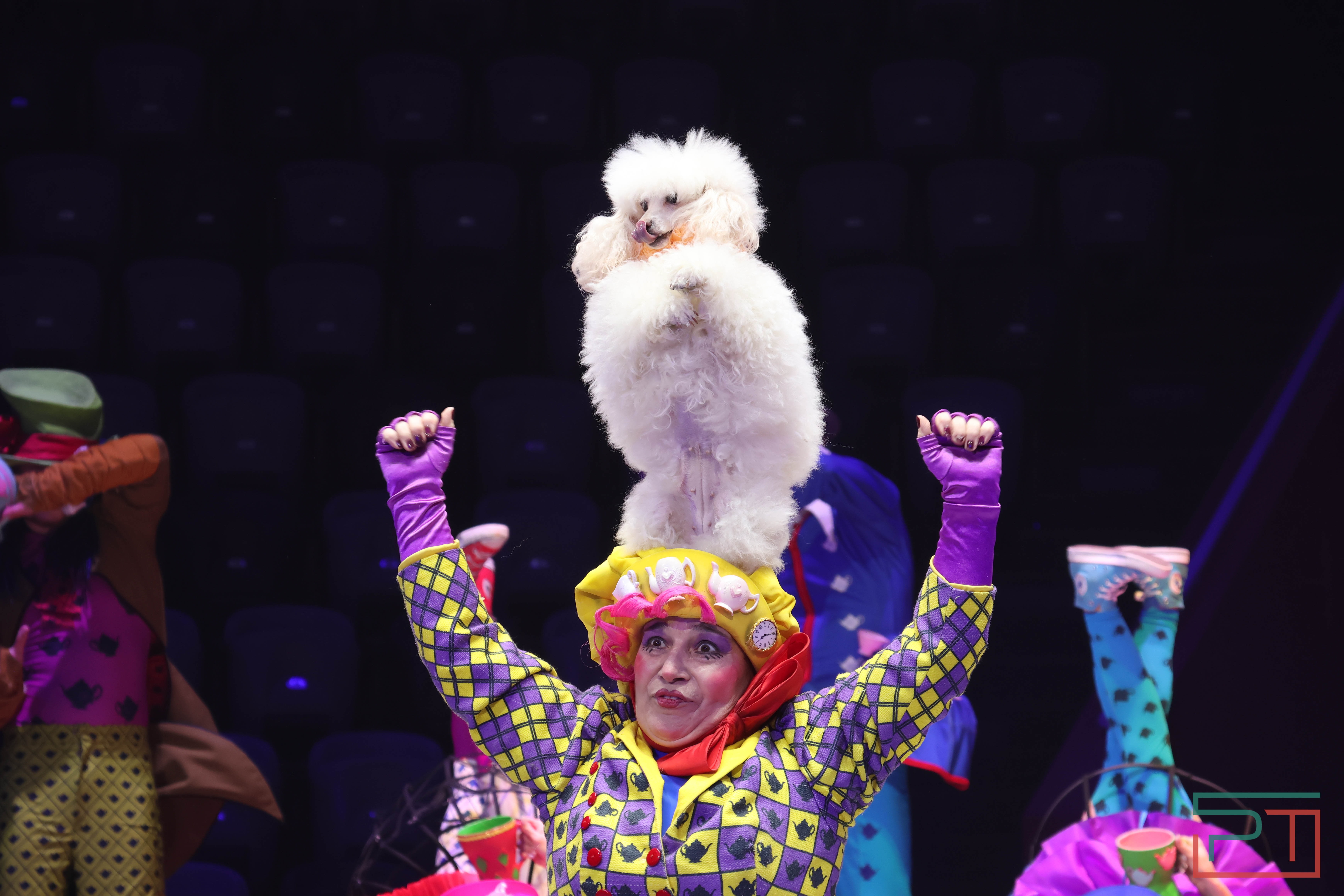 Чудесатая сказка на новый лад: в Казанском цирке состоялась премьера новогоднего шоу «Лабиринт»