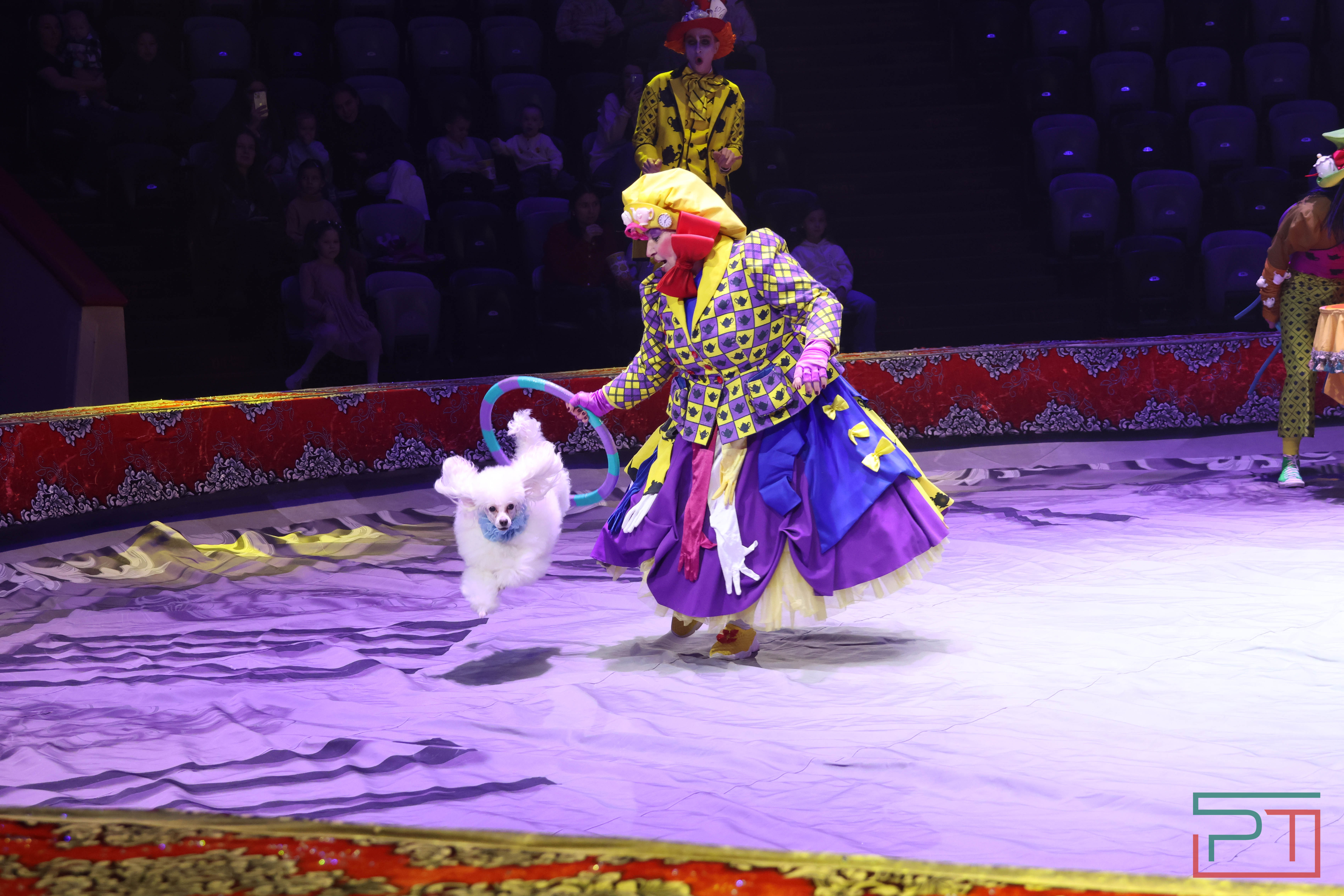 Чудесатая сказка на новый лад: в Казанском цирке состоялась премьера новогоднего шоу «Лабиринт»