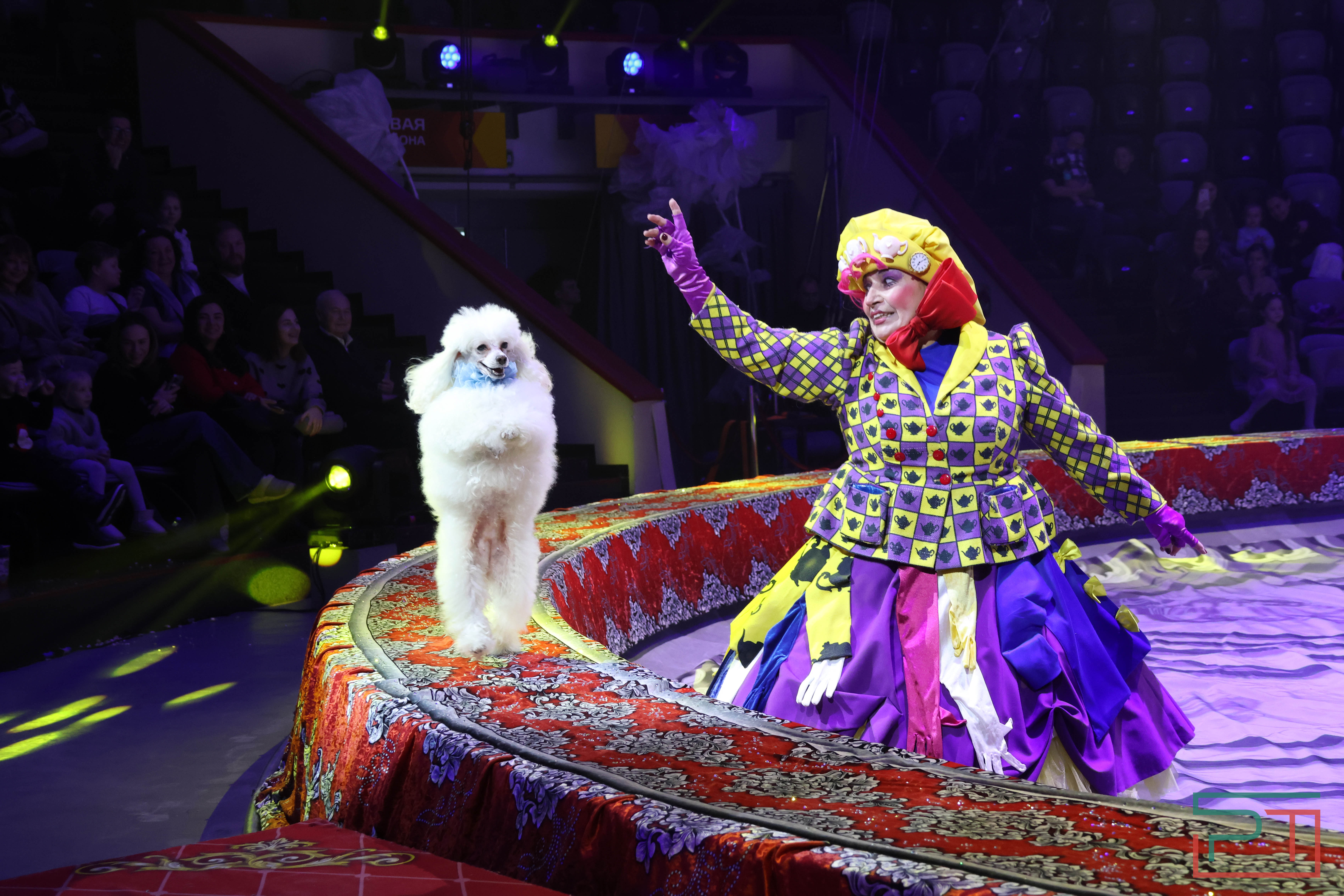 Чудесатая сказка на новый лад: в Казанском цирке состоялась премьера новогоднего шоу «Лабиринт»