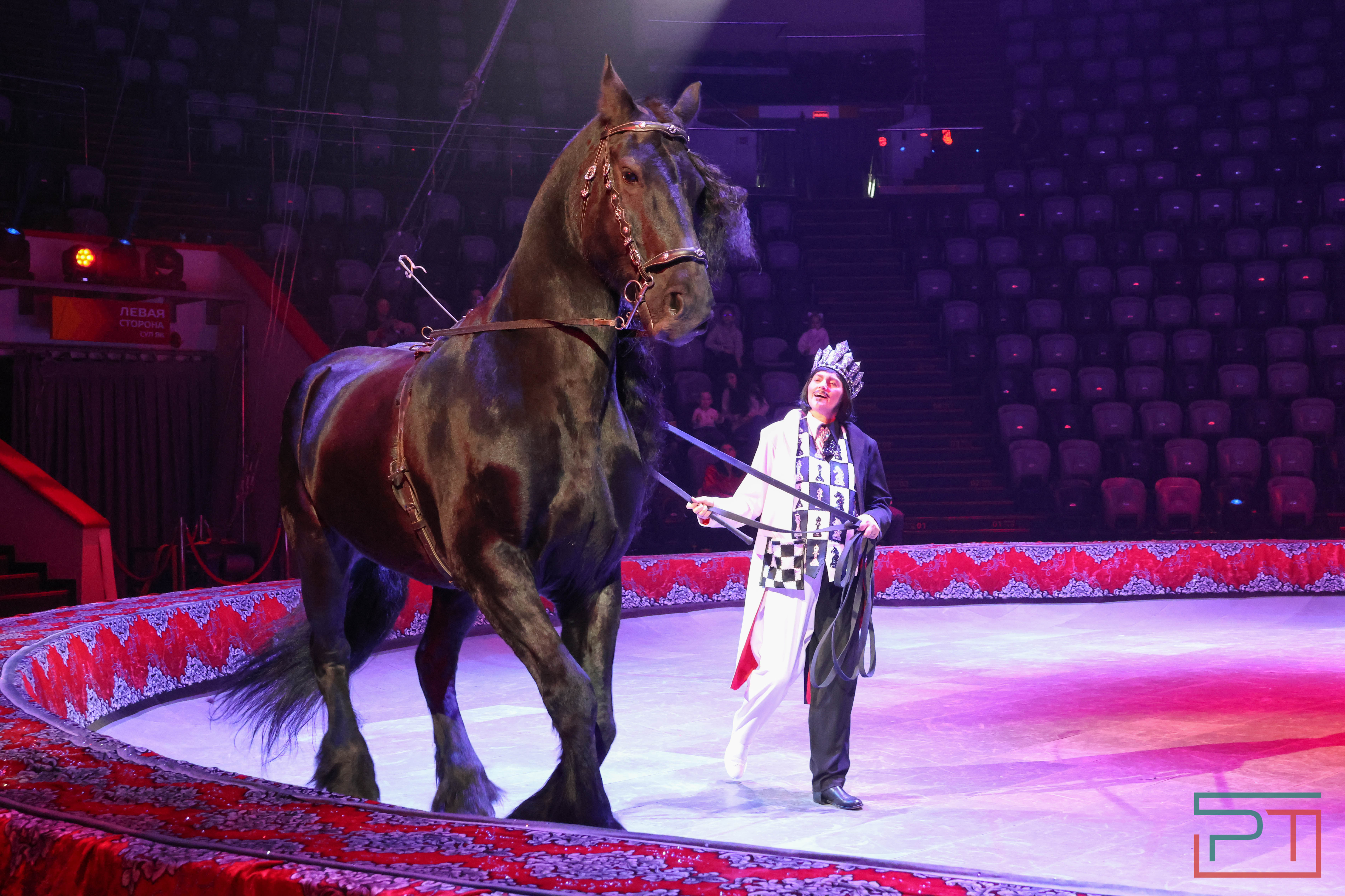 Чудесатая сказка на новый лад: в Казанском цирке состоялась премьера новогоднего шоу «Лабиринт»