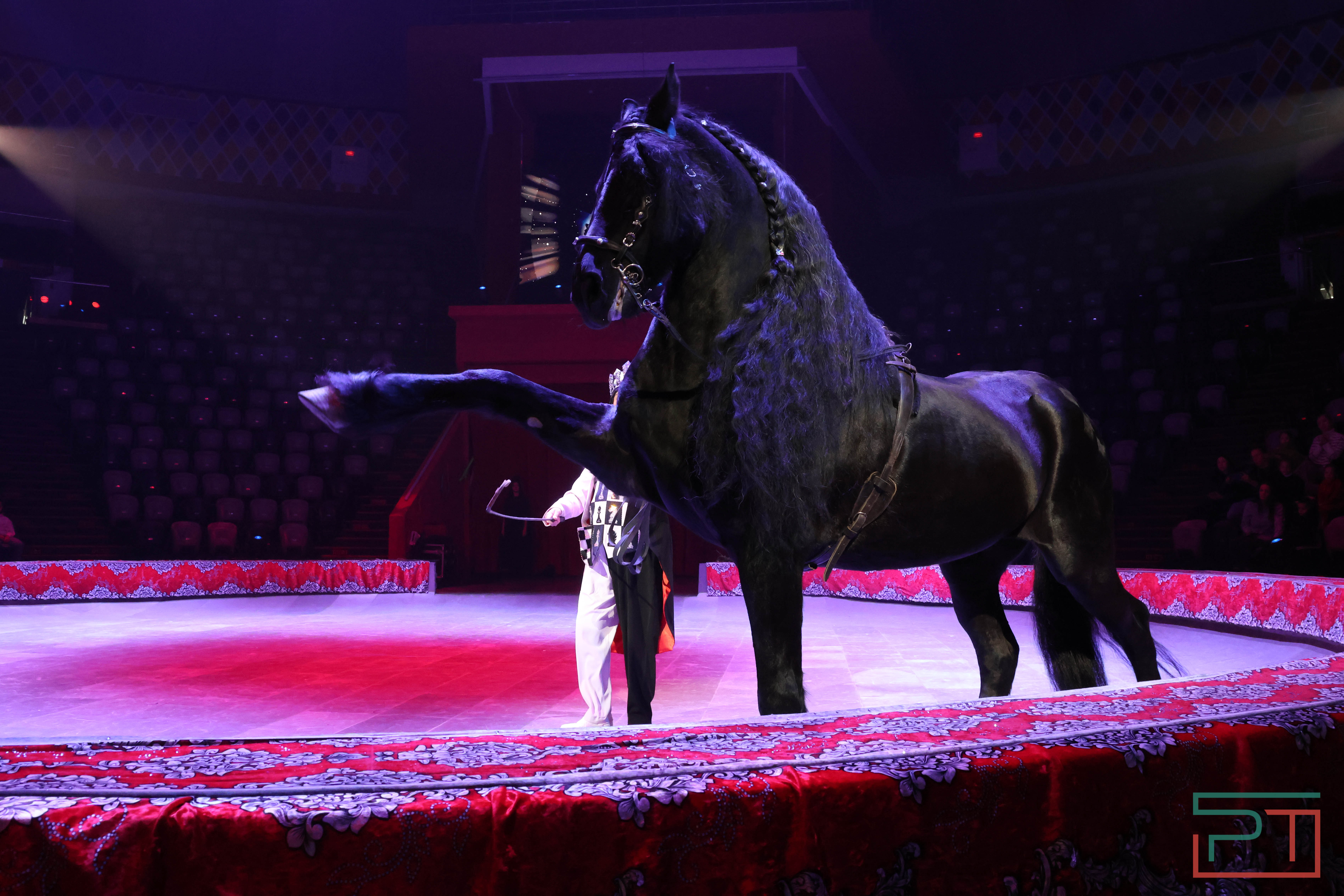 Чудесатая сказка на новый лад: в Казанском цирке состоялась премьера новогоднего шоу «Лабиринт»