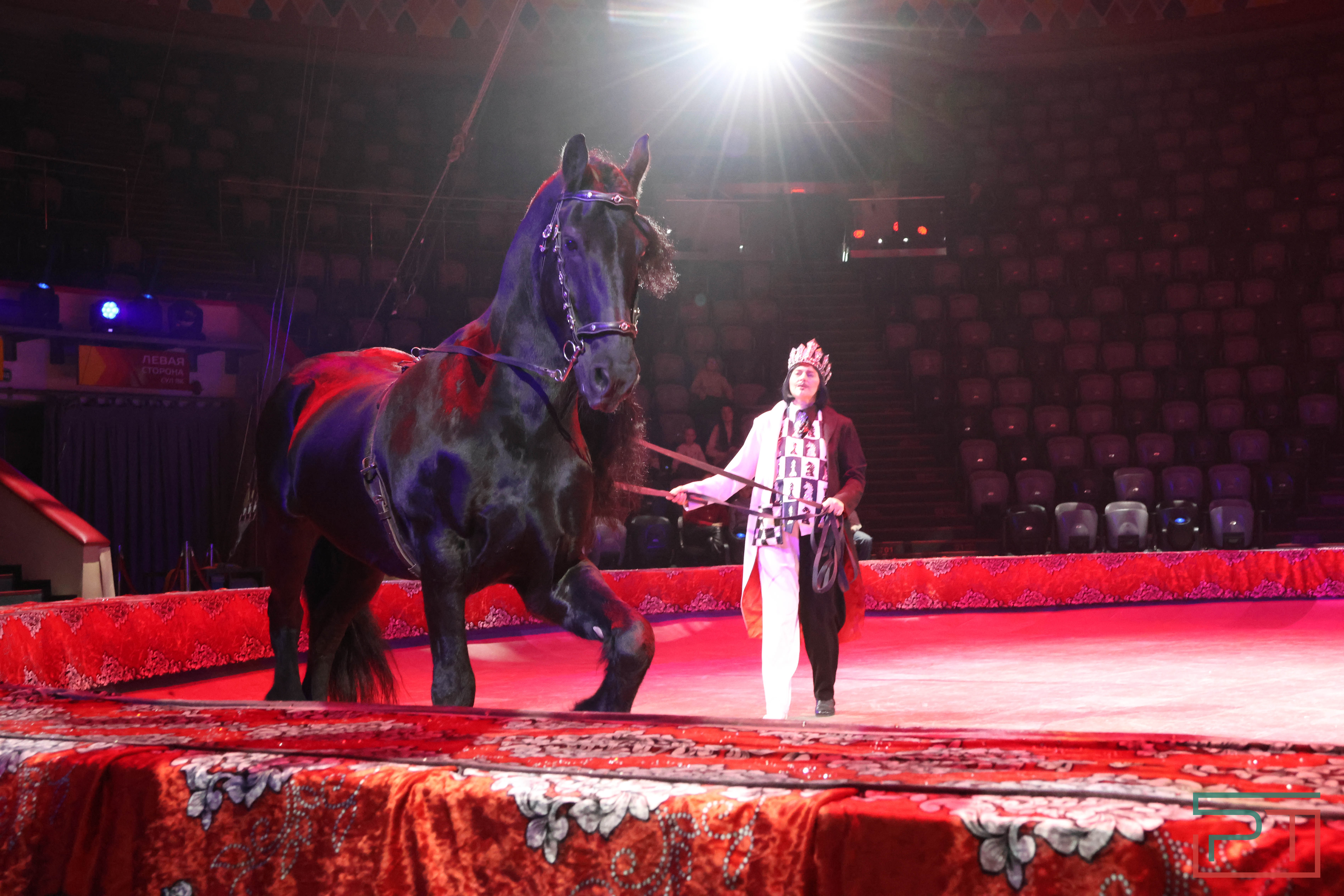 Чудесатая сказка на новый лад: в Казанском цирке состоялась премьера новогоднего шоу «Лабиринт»