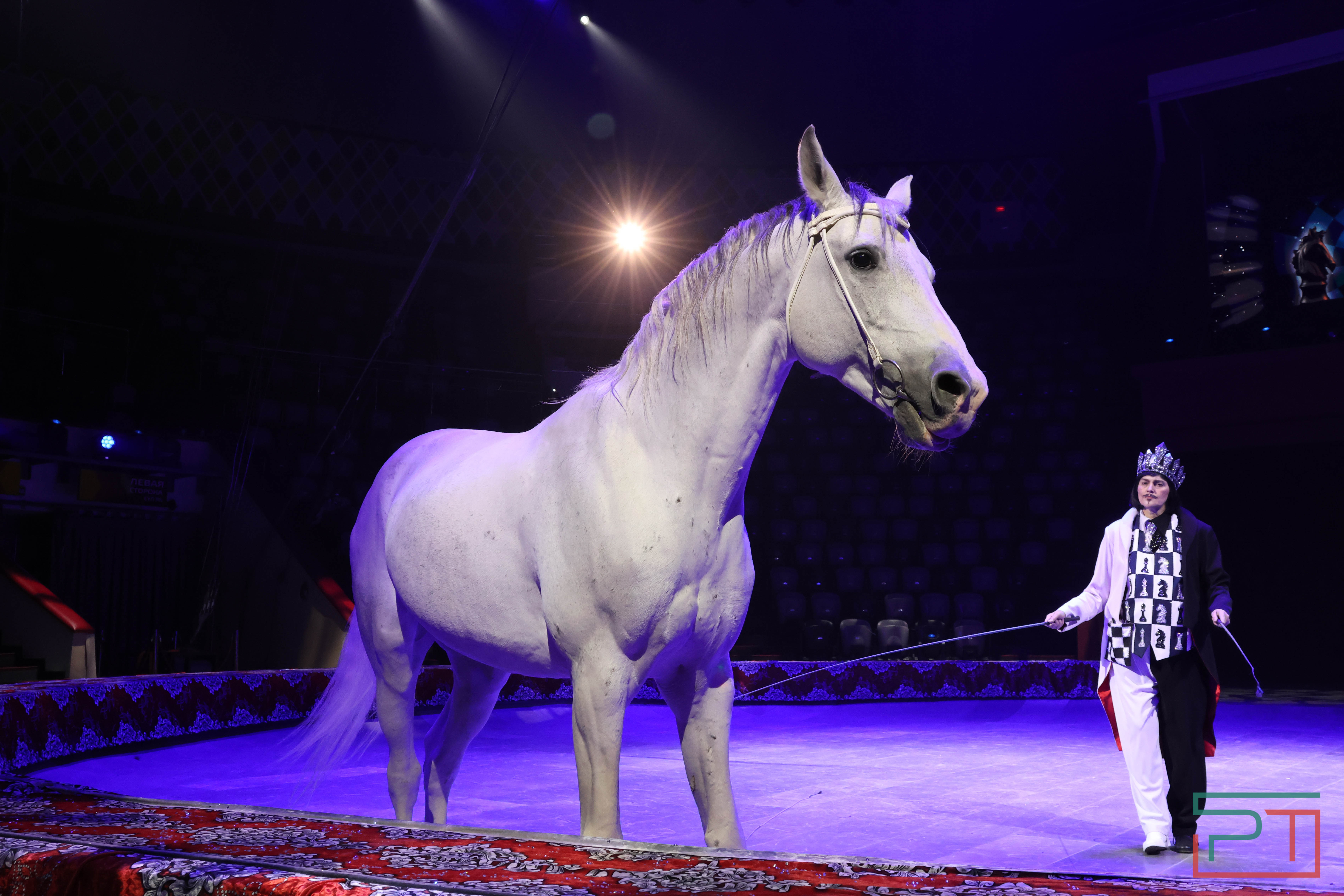 Чудесатая сказка на новый лад: в Казанском цирке состоялась премьера новогоднего шоу «Лабиринт»