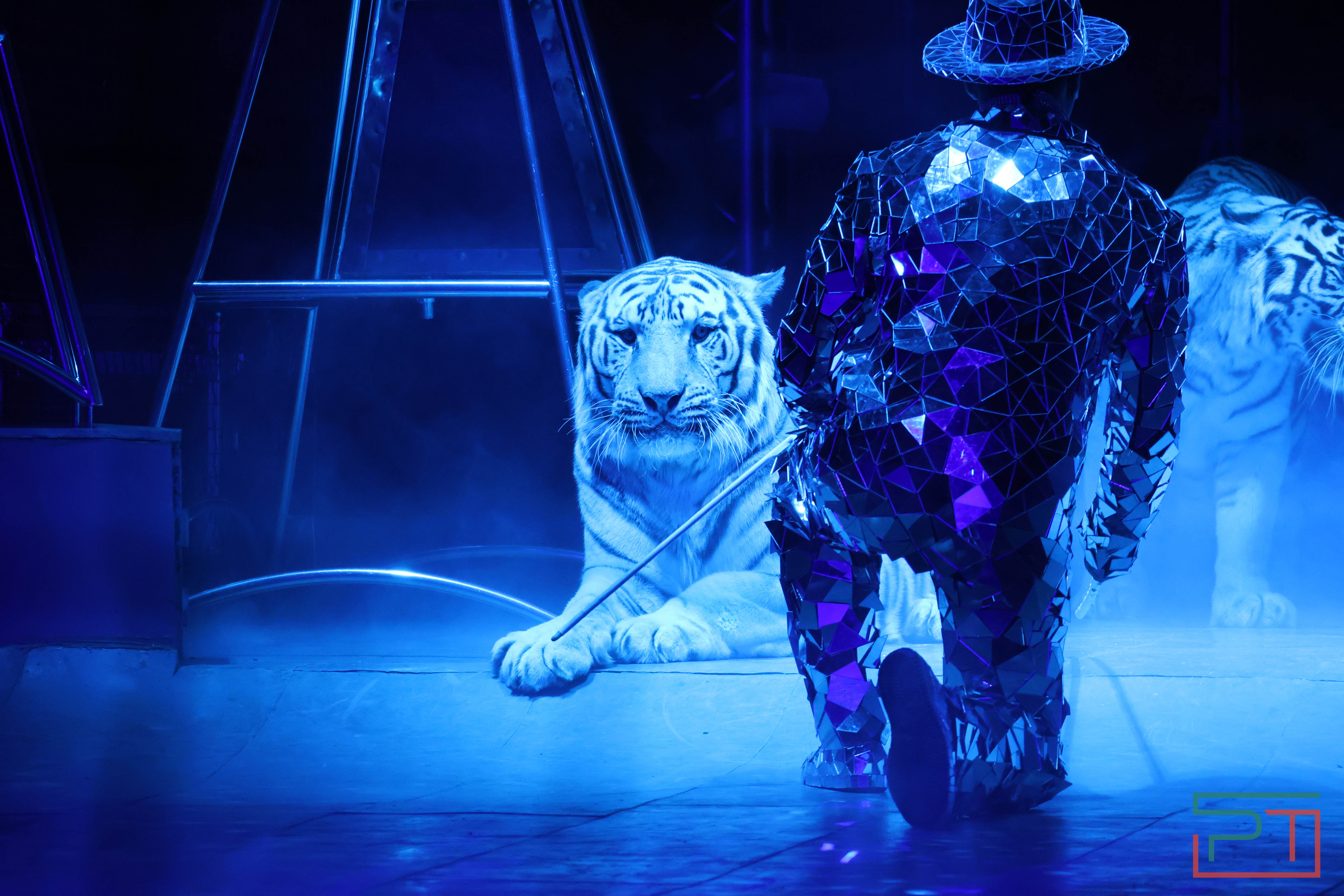 Чудесатая сказка на новый лад: в Казанском цирке состоялась премьера новогоднего шоу «Лабиринт»