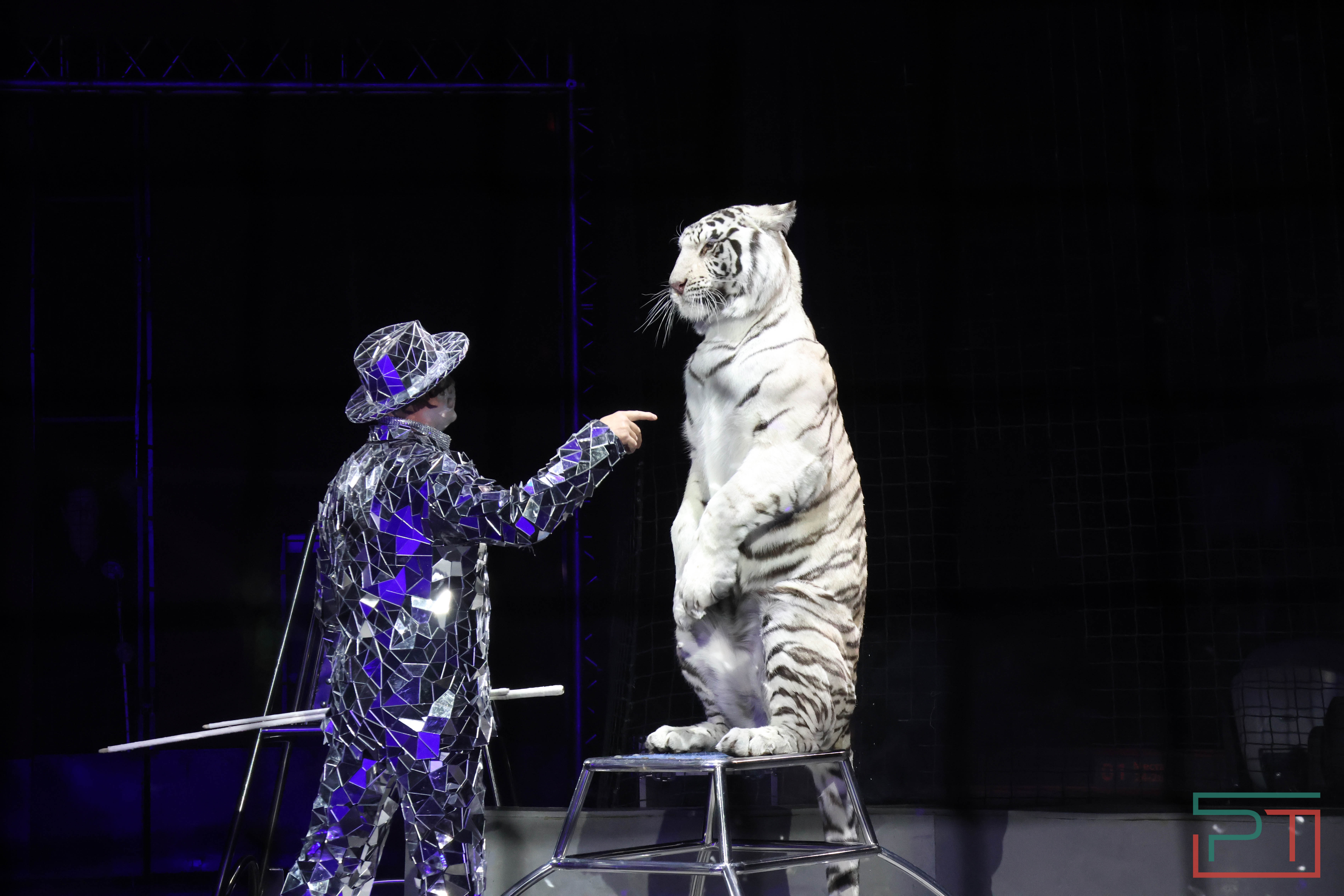 Чудесатая сказка на новый лад: в Казанском цирке состоялась премьера новогоднего шоу «Лабиринт»