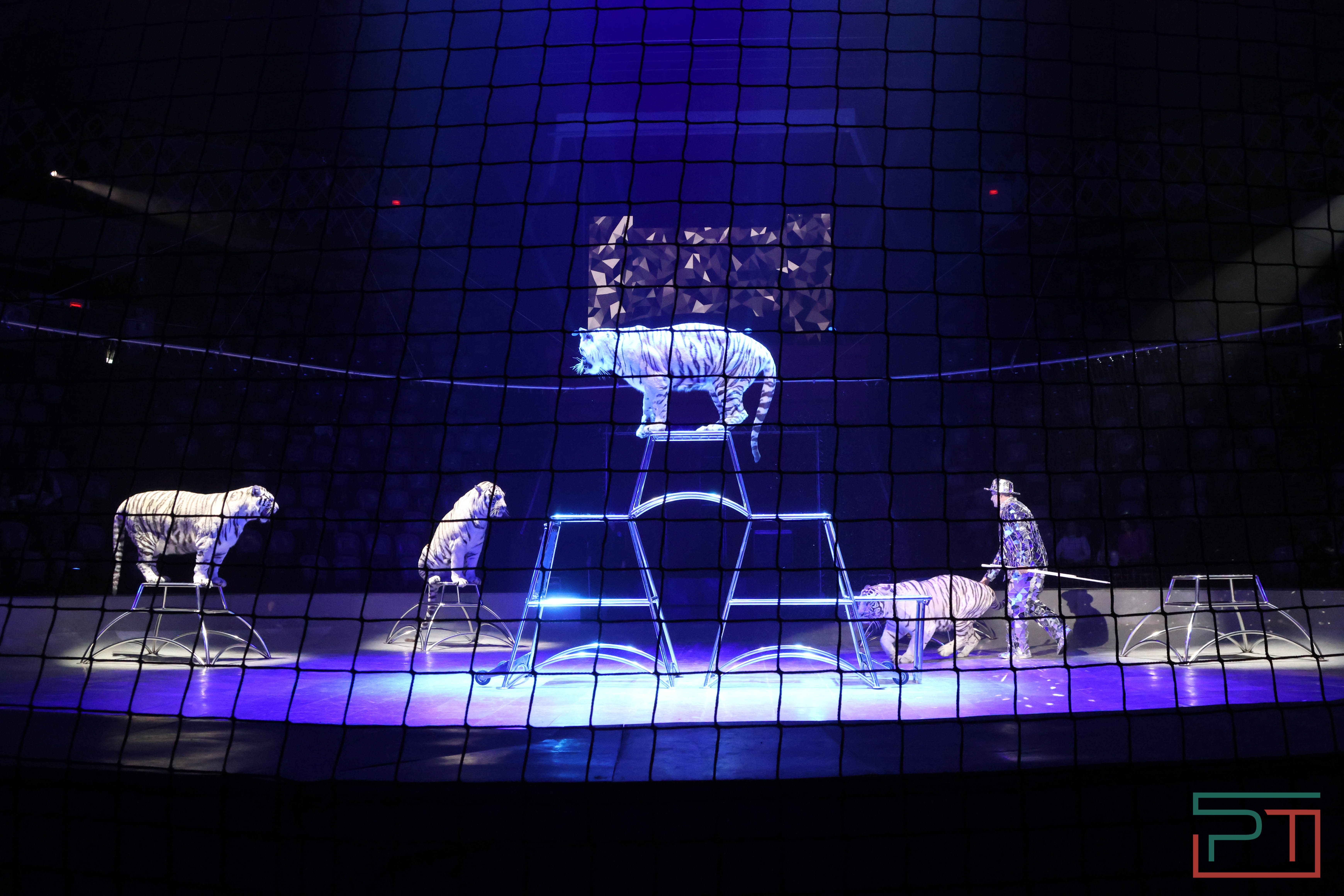 Чудесатая сказка на новый лад: в Казанском цирке состоялась премьера новогоднего шоу «Лабиринт»