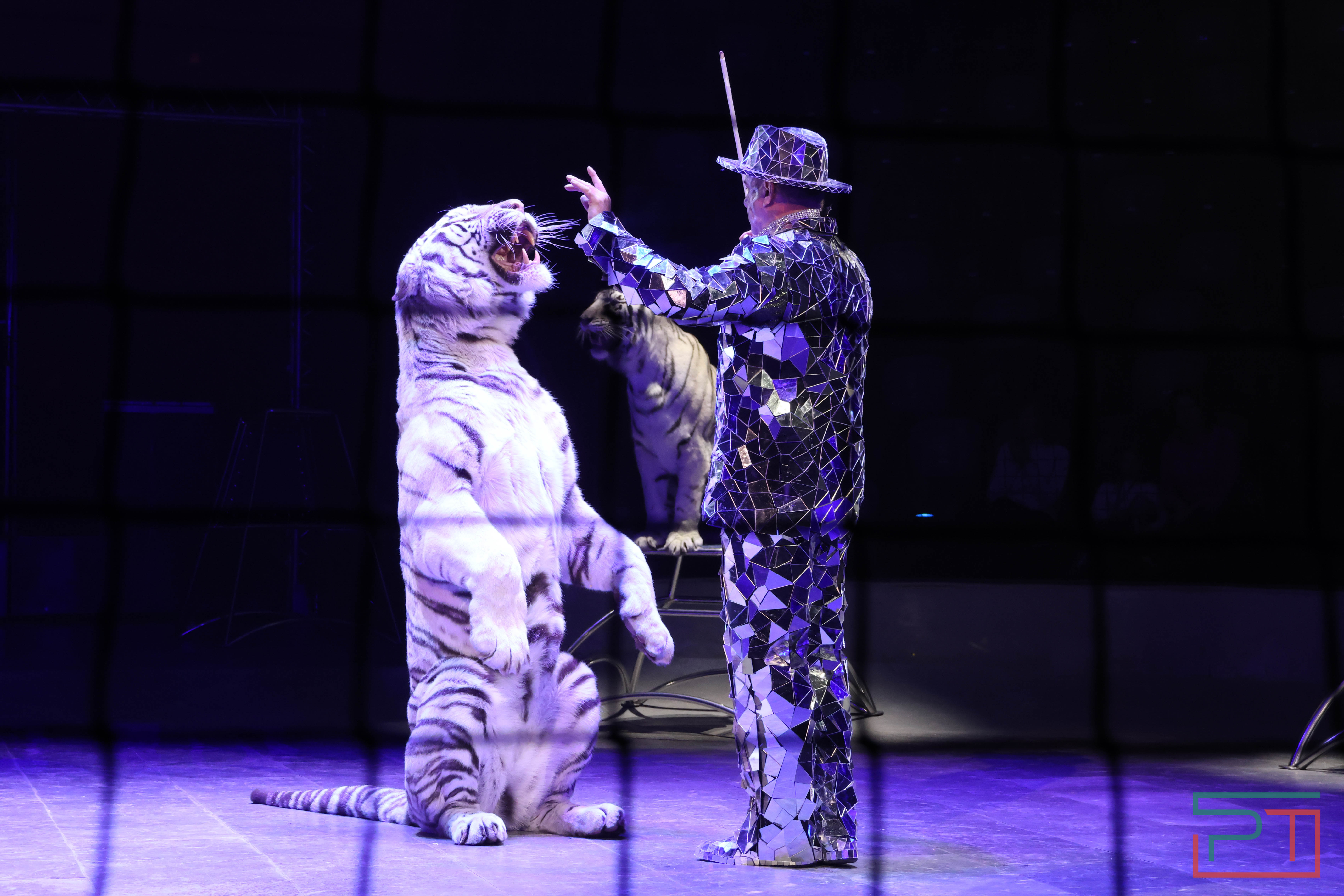 Чудесатая сказка на новый лад: в Казанском цирке состоялась премьера новогоднего шоу «Лабиринт»