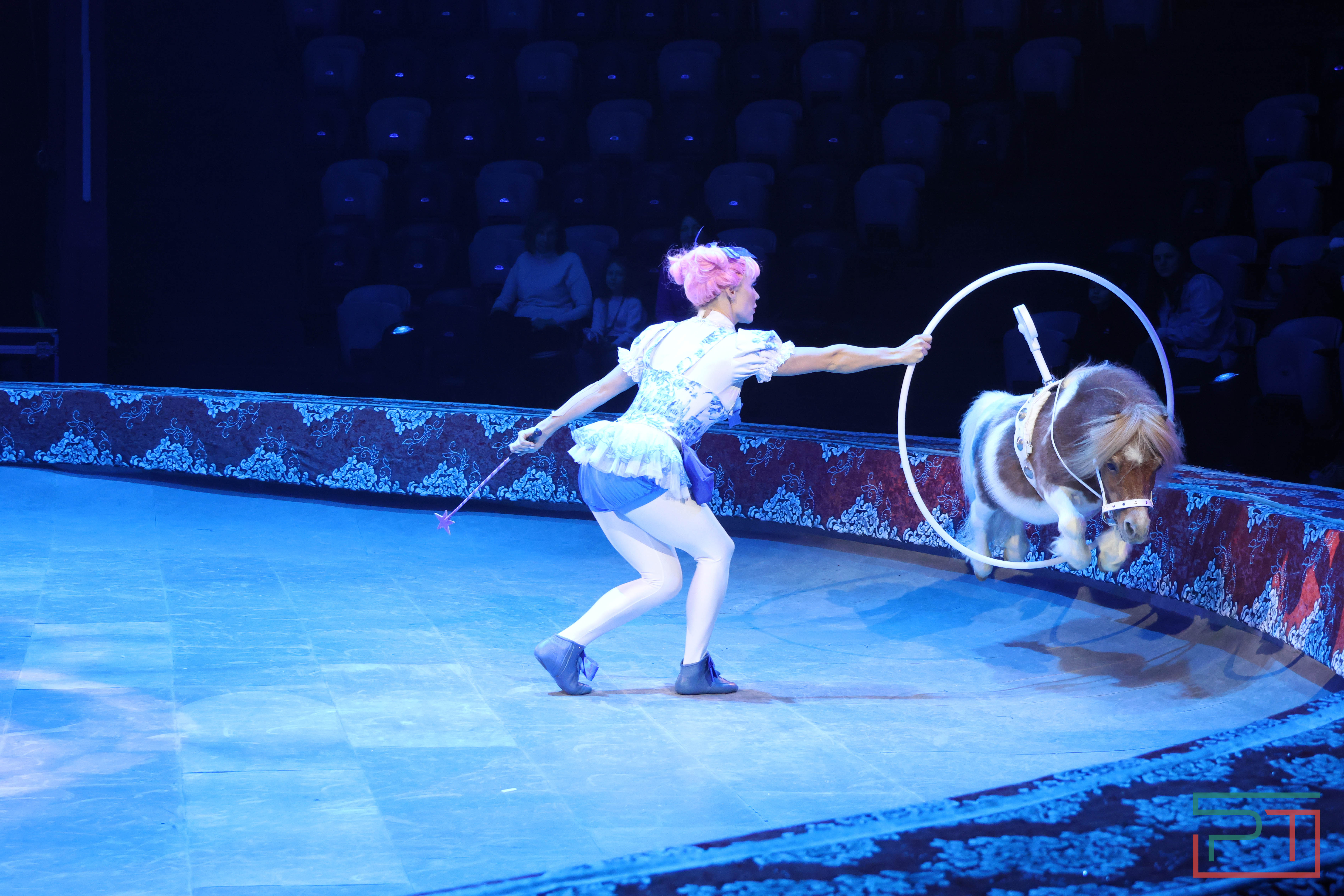 Чудесатая сказка на новый лад: в Казанском цирке состоялась премьера новогоднего шоу «Лабиринт»