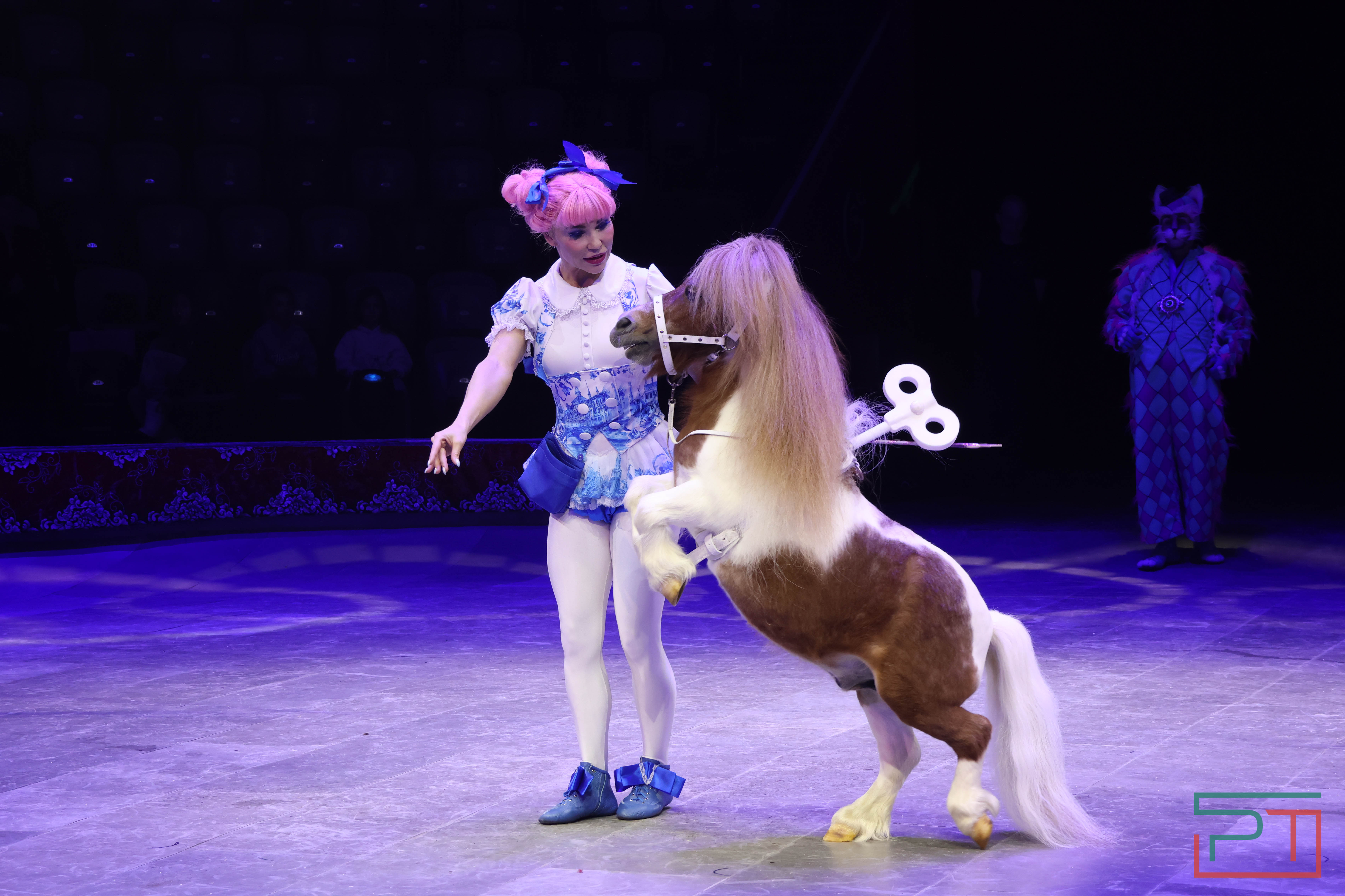 Чудесатая сказка на новый лад: в Казанском цирке состоялась премьера новогоднего шоу «Лабиринт»