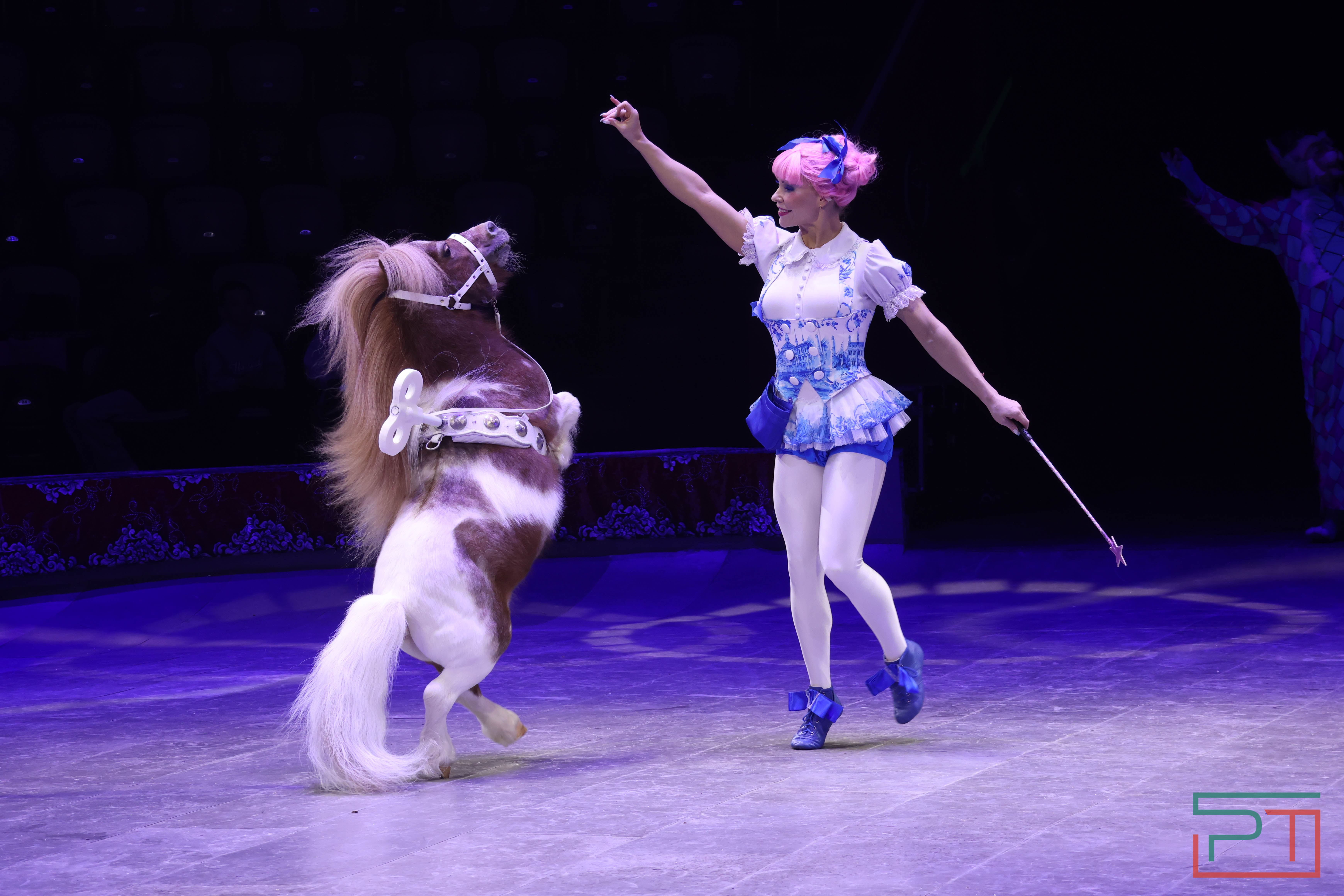 Чудесатая сказка на новый лад: в Казанском цирке состоялась премьера новогоднего шоу «Лабиринт»