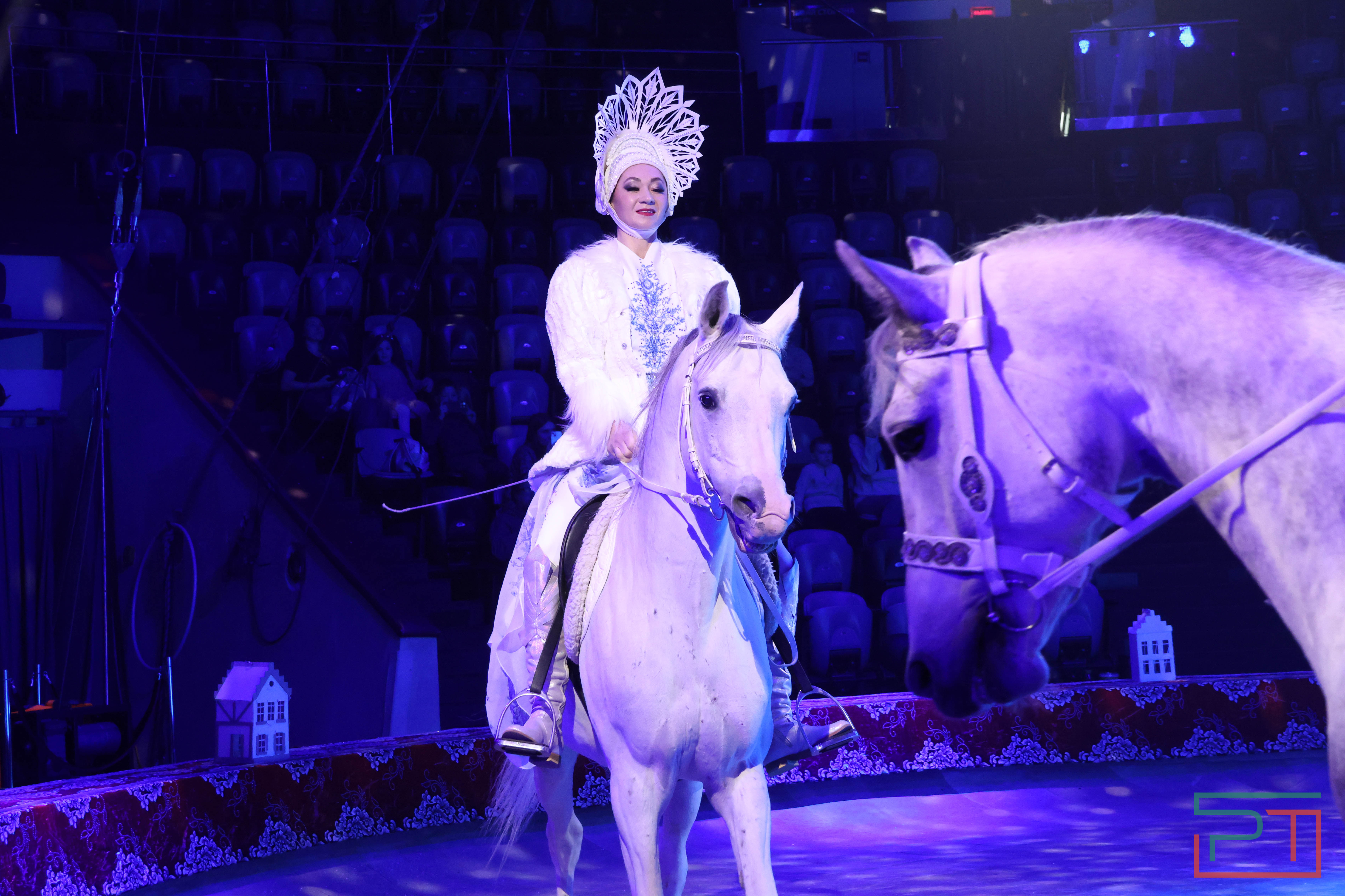 Чудесатая сказка на новый лад: в Казанском цирке состоялась премьера новогоднего шоу «Лабиринт»