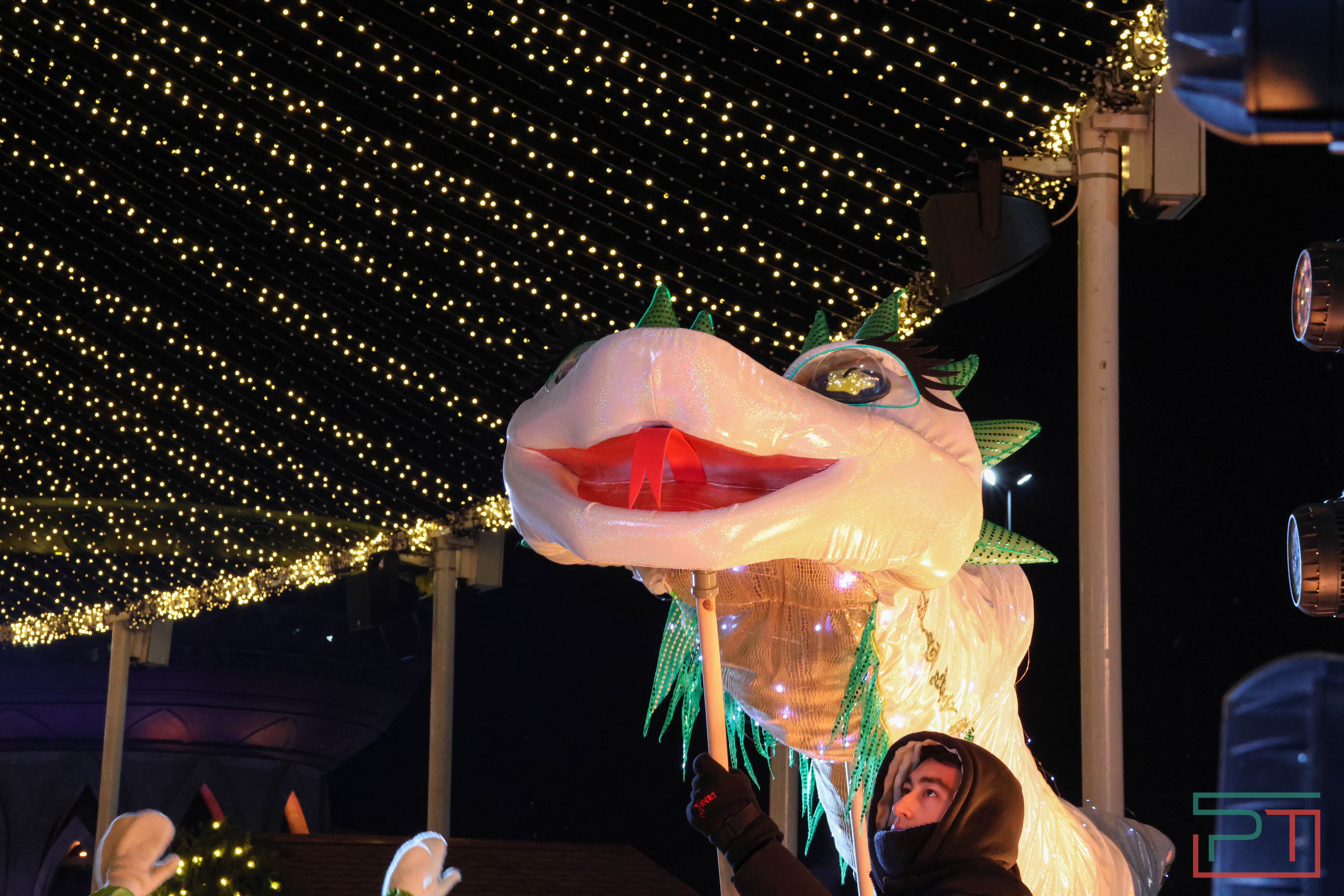 В Казани официально открыли главную елку города