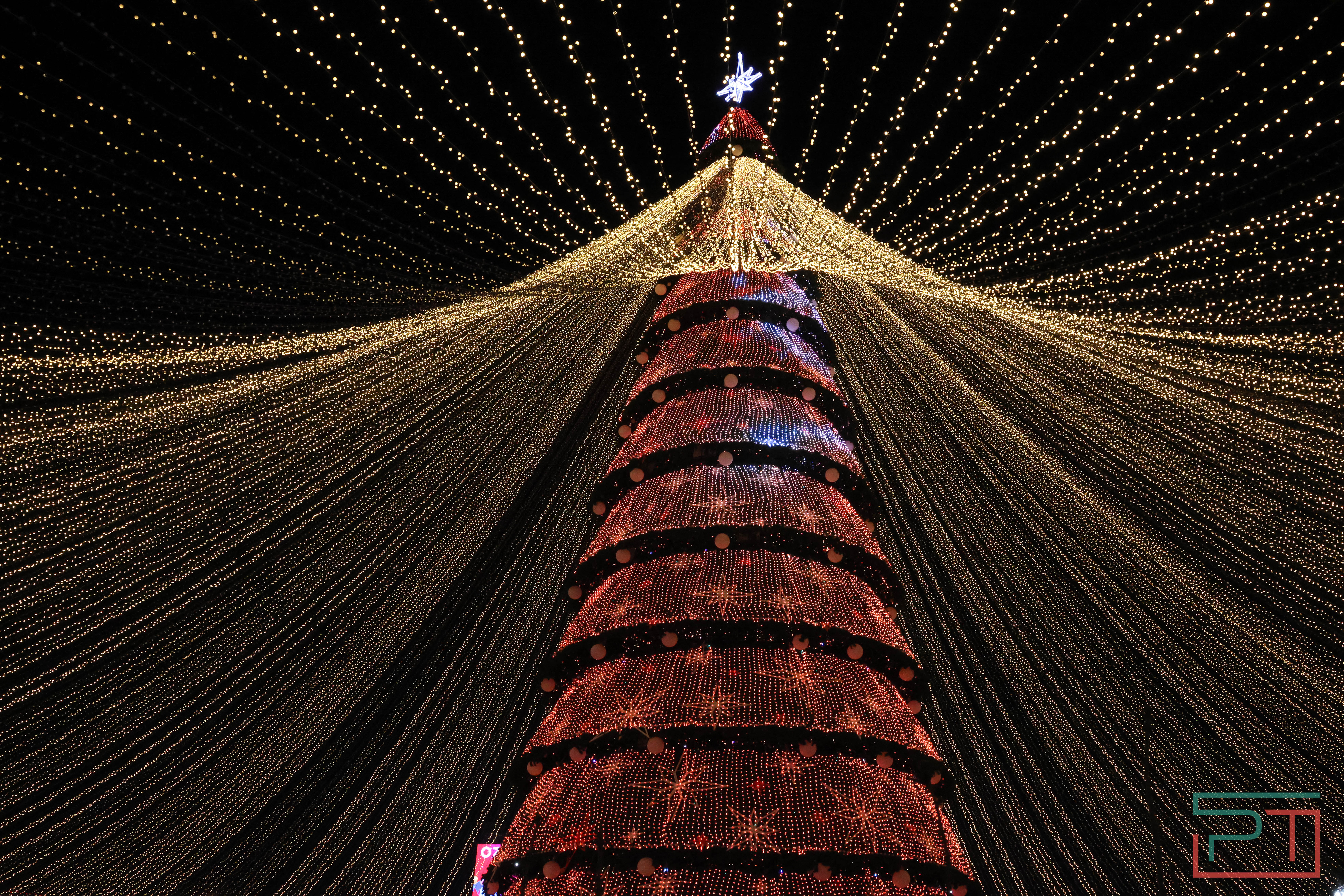 В Казани официально открыли главную елку города