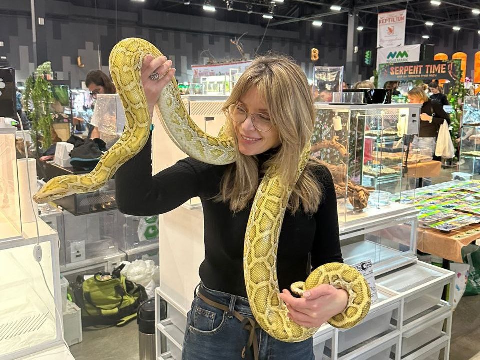 Скользкие, холодные, но обаятельные: хозяйка 12 питонов из Казани нежно любит змей