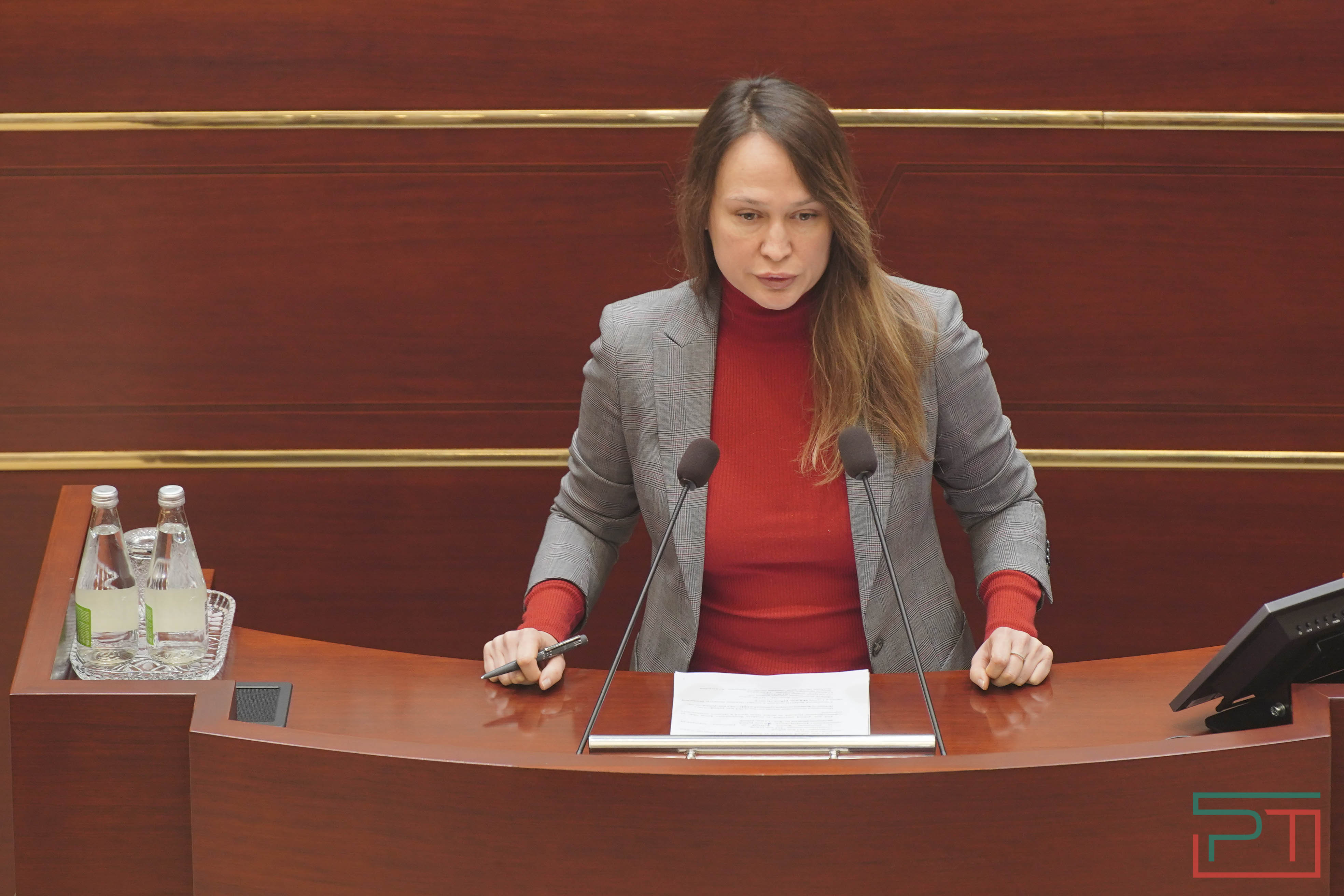 Мигрантов адаптировать, собак регистрировать: Госсовет Татарстана провел последнюю сессию в году