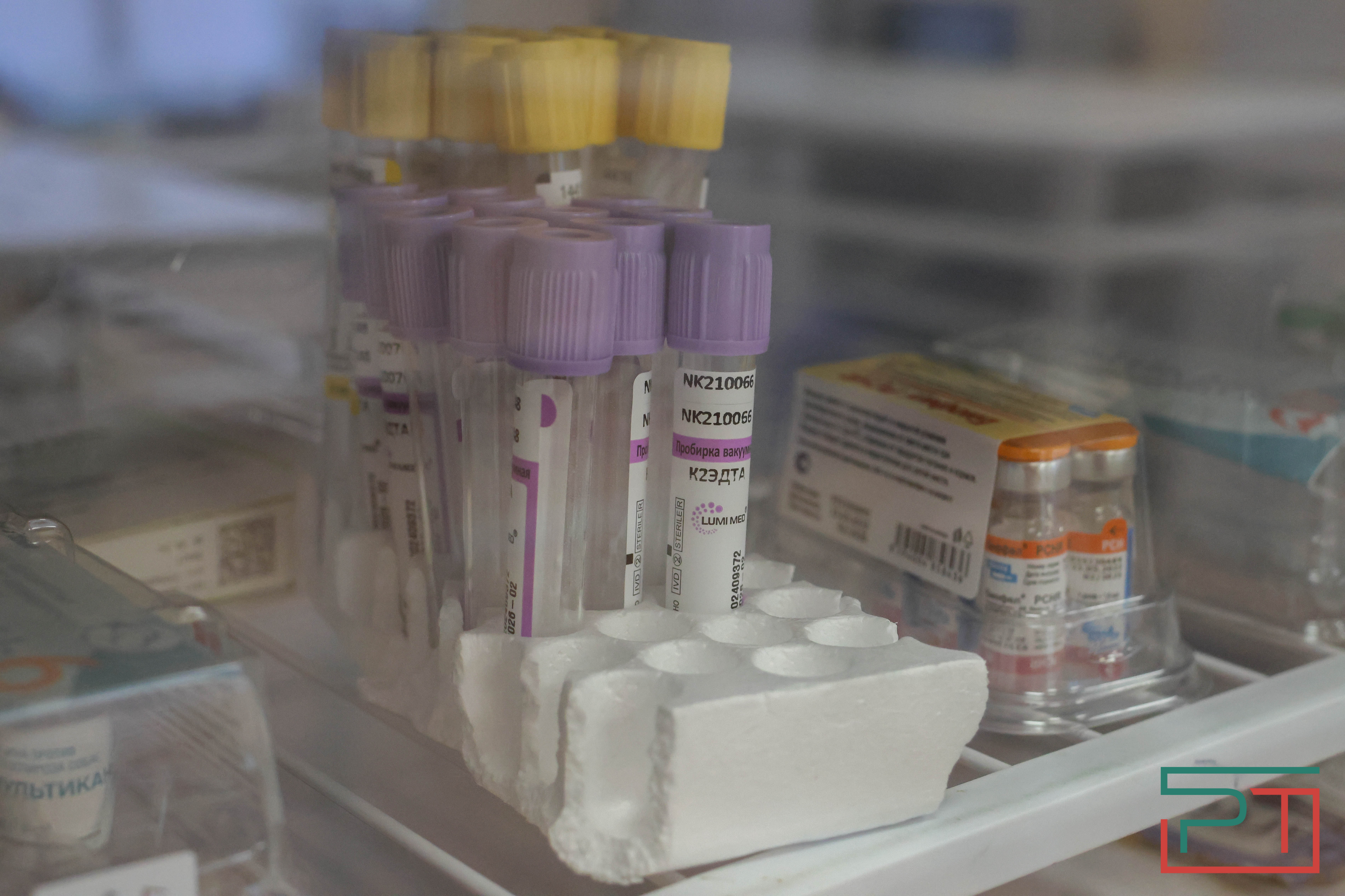 Процедура копеечная: как в Казани проходит обязательная регистрация собак