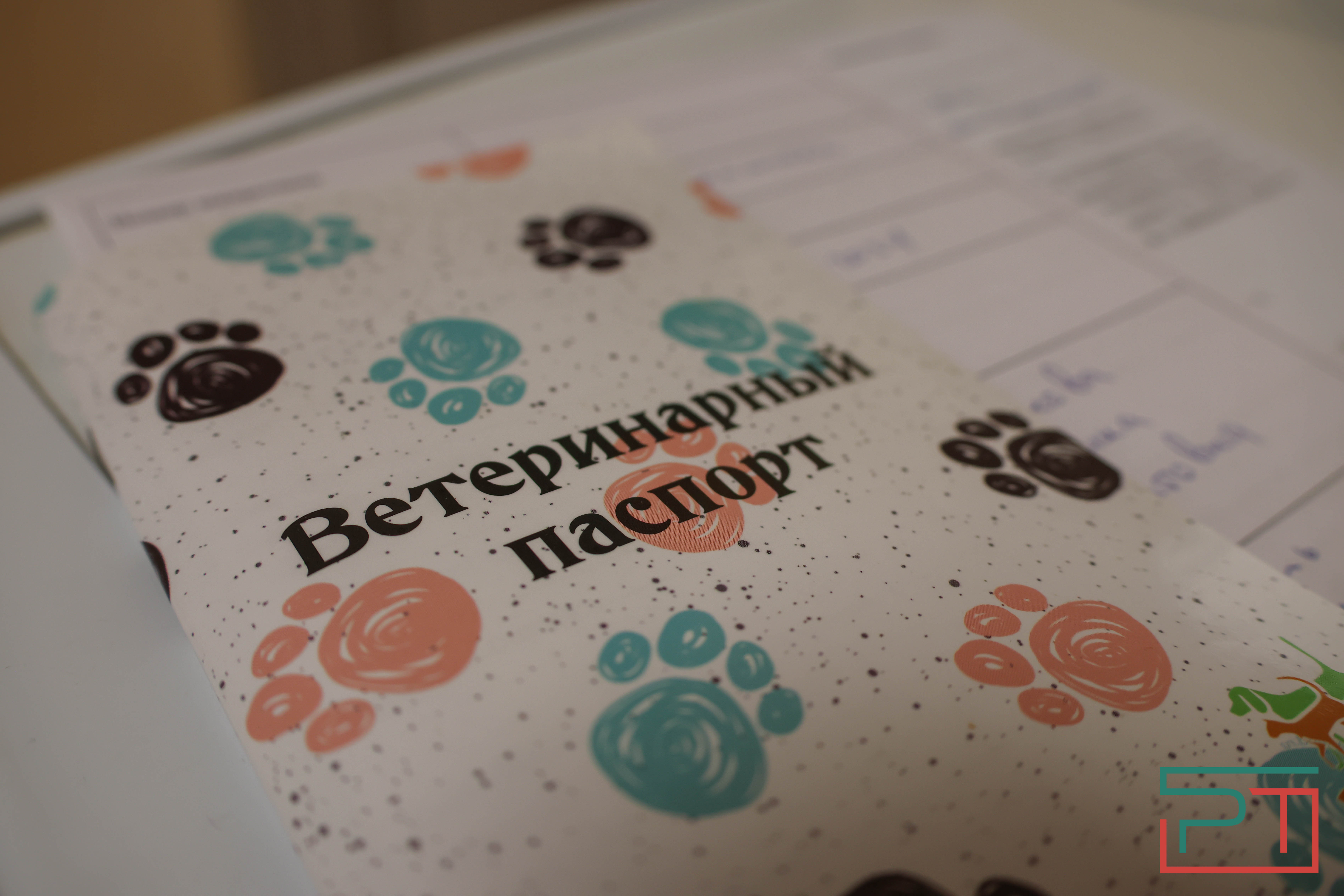 Процедура копеечная: как в Казани проходит обязательная регистрация собак