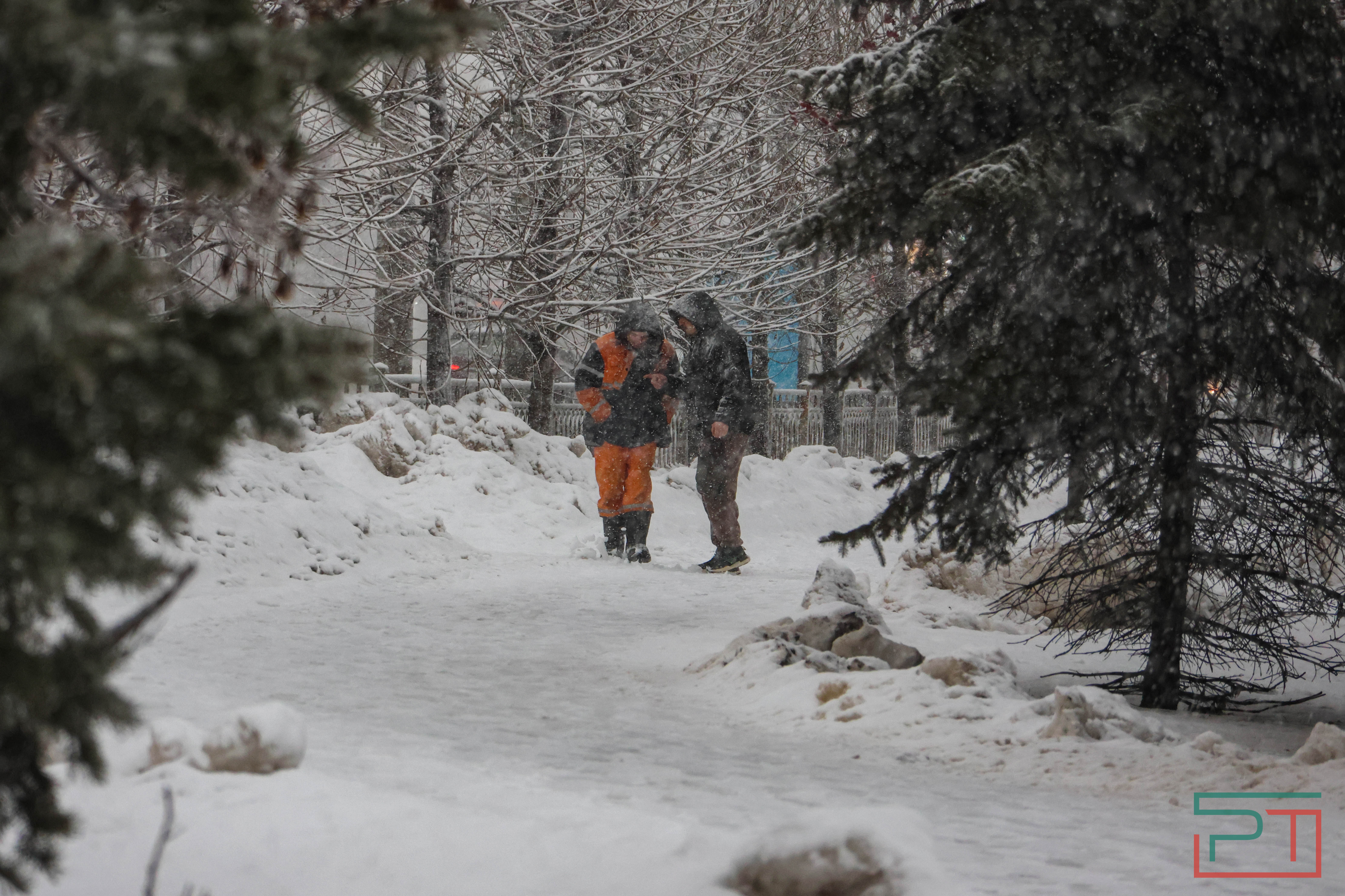 Зима отменяется: в январе казанцам вместо лыж пригодились зонтики