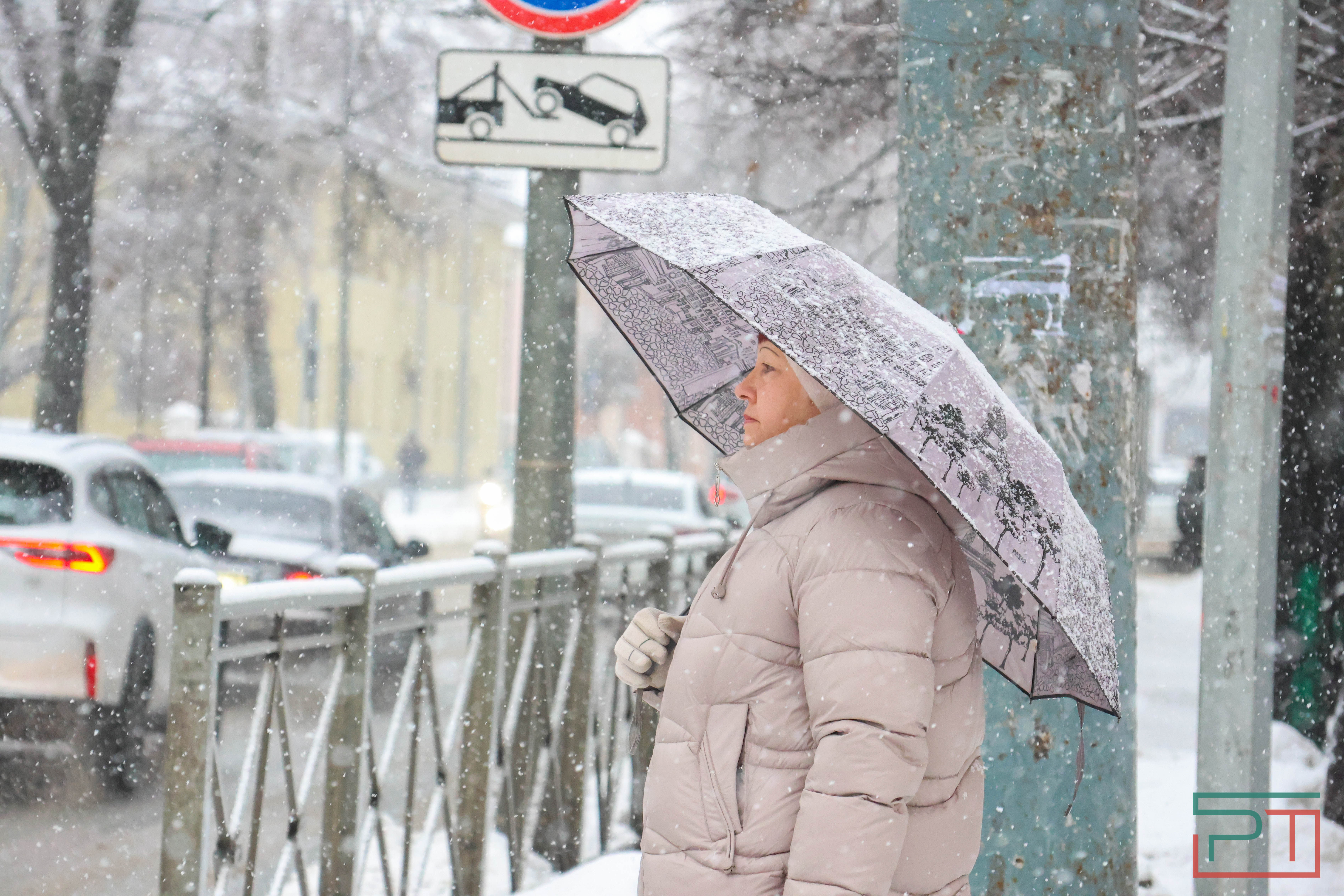 Зима отменяется: в январе казанцам вместо лыж пригодились зонтики