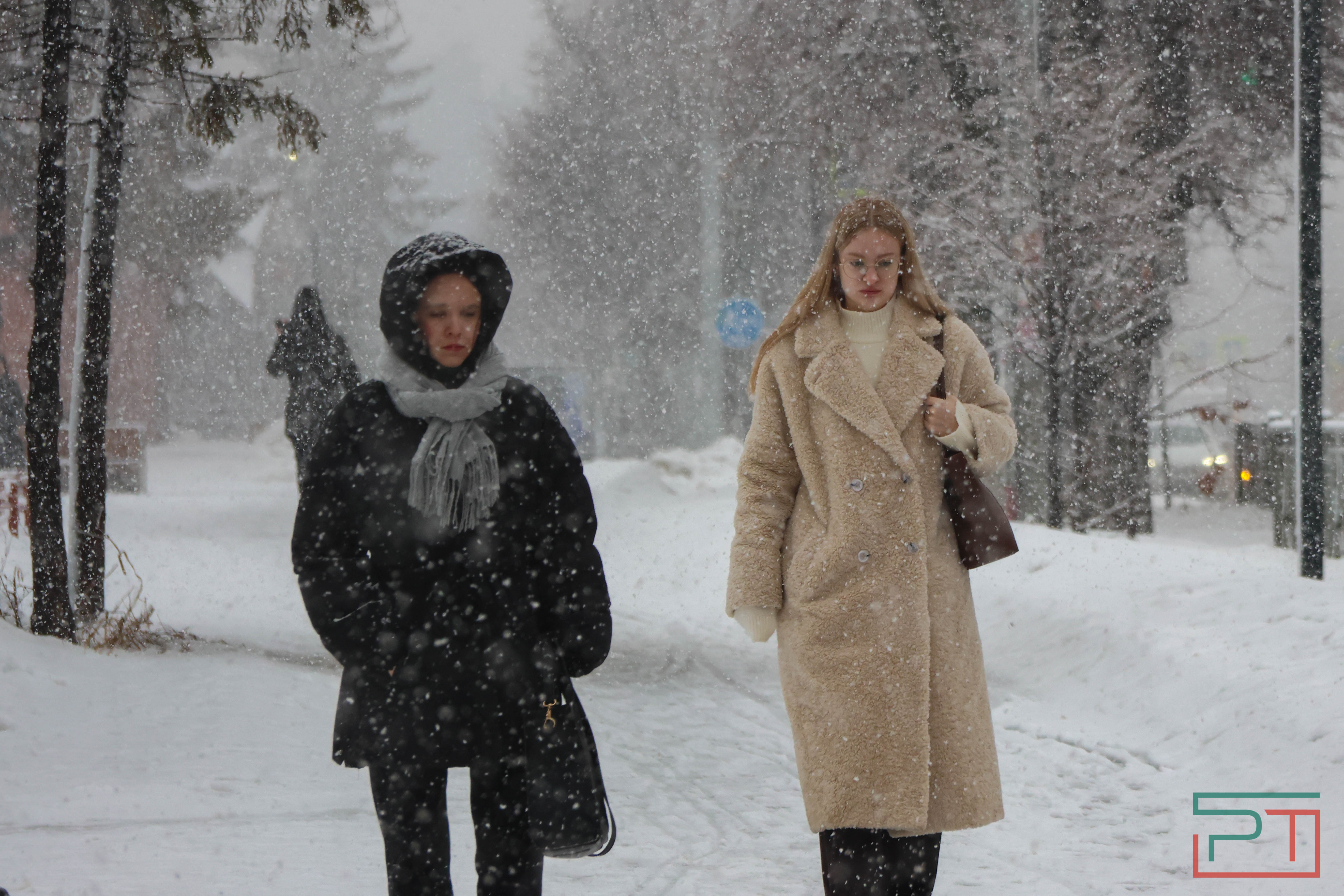 Зима отменяется: в январе казанцам вместо лыж пригодились зонтики