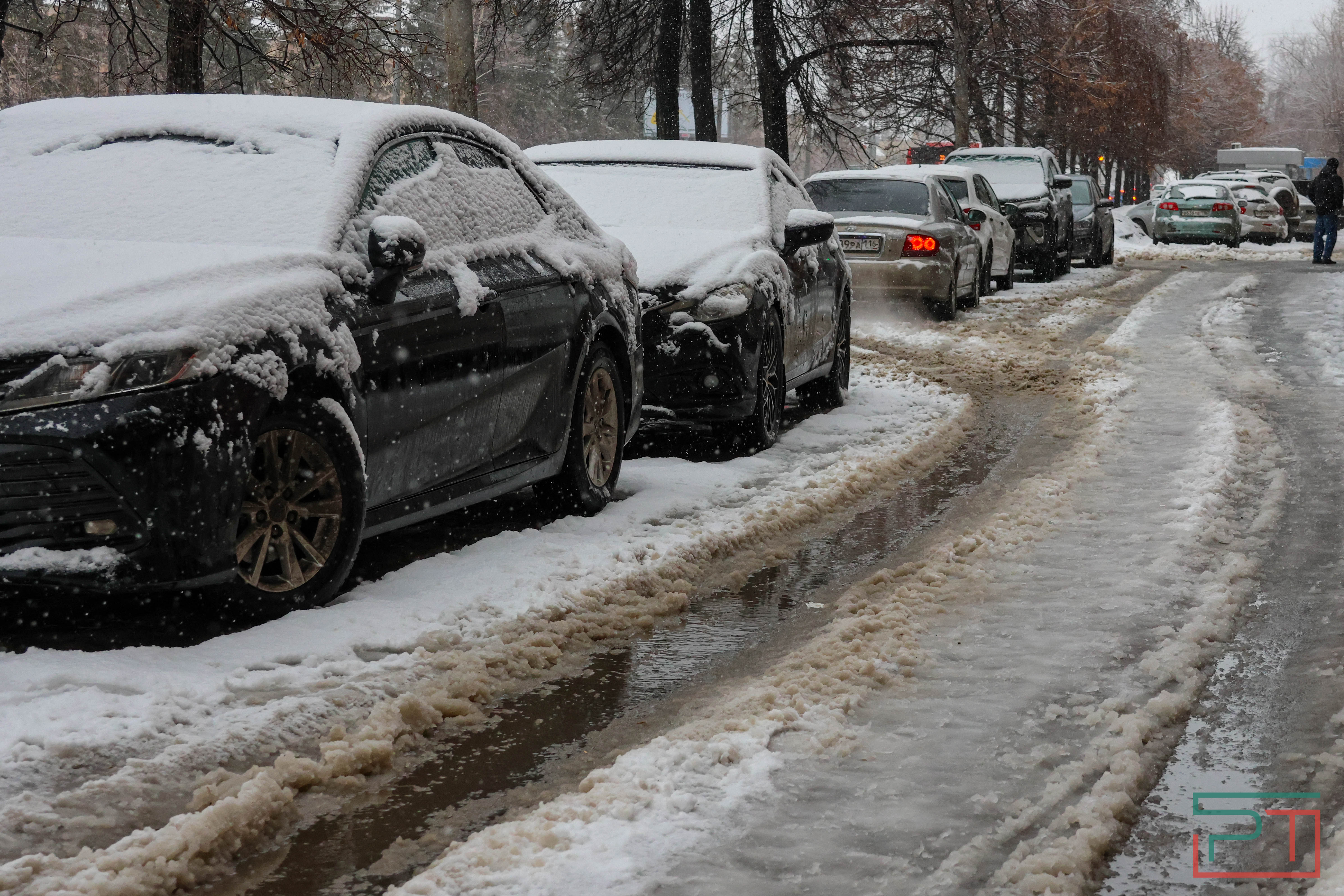 Зима отменяется: в январе казанцам вместо лыж пригодились зонтики