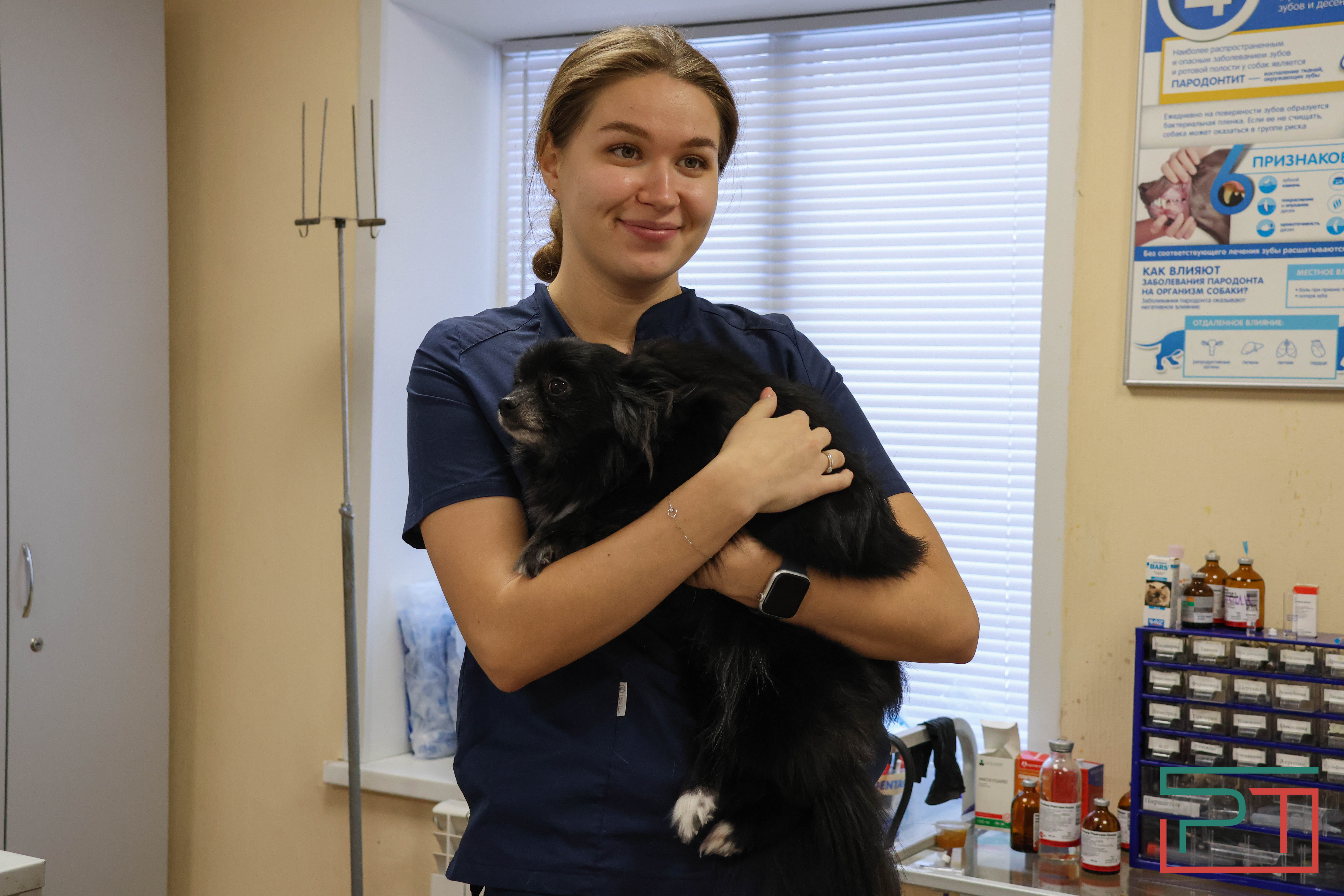 Процедура копеечная: как в Казани проходит обязательная регистрация собак