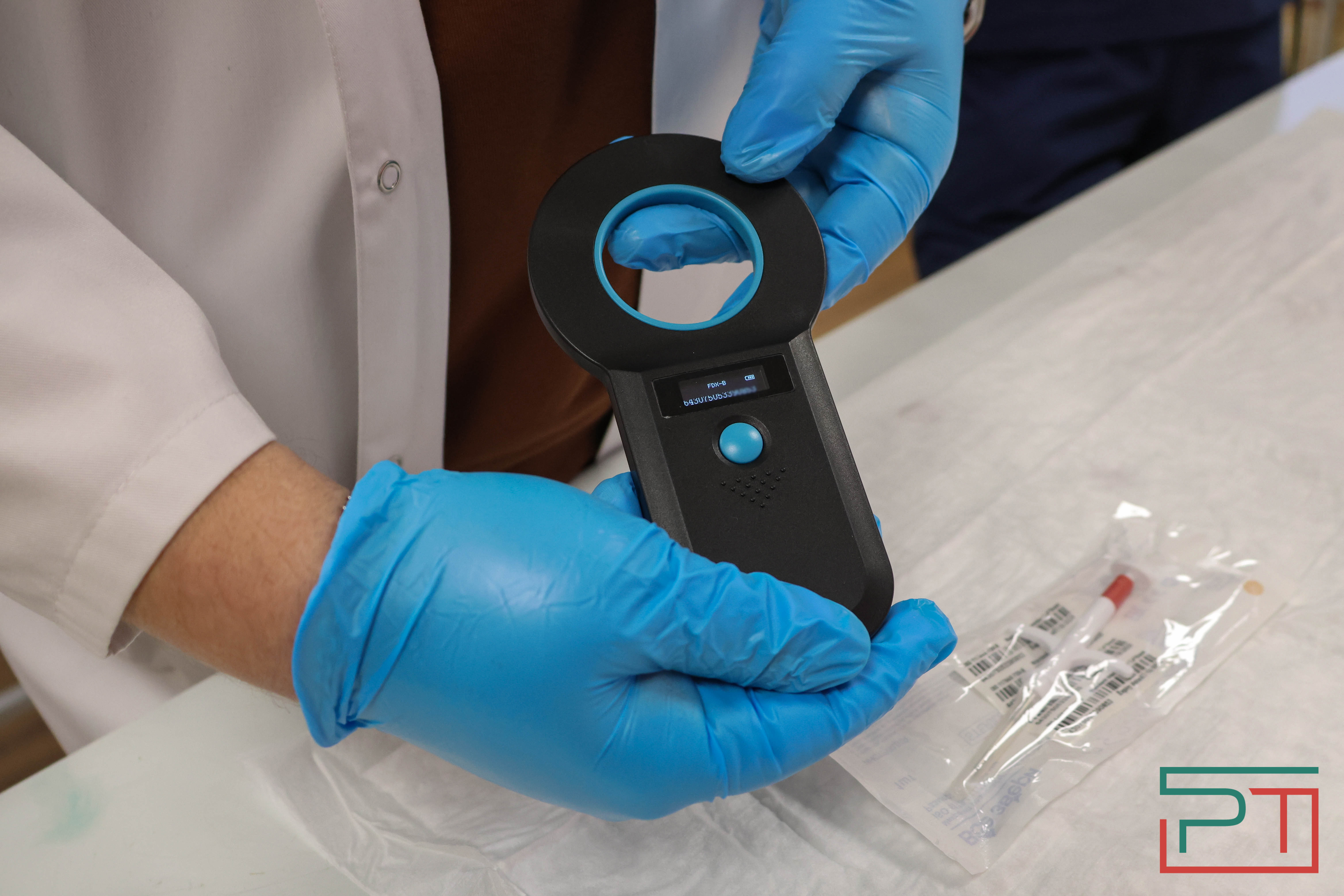 Процедура копеечная: как в Казани проходит обязательная регистрация собак