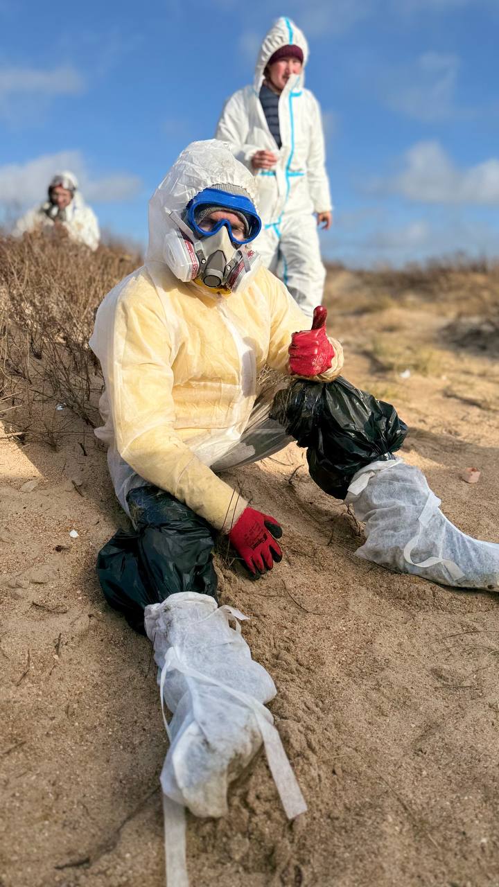 «Многих увозили с пляжа на скорой»: волонтеры из Татарстана спасают от беды Черное море