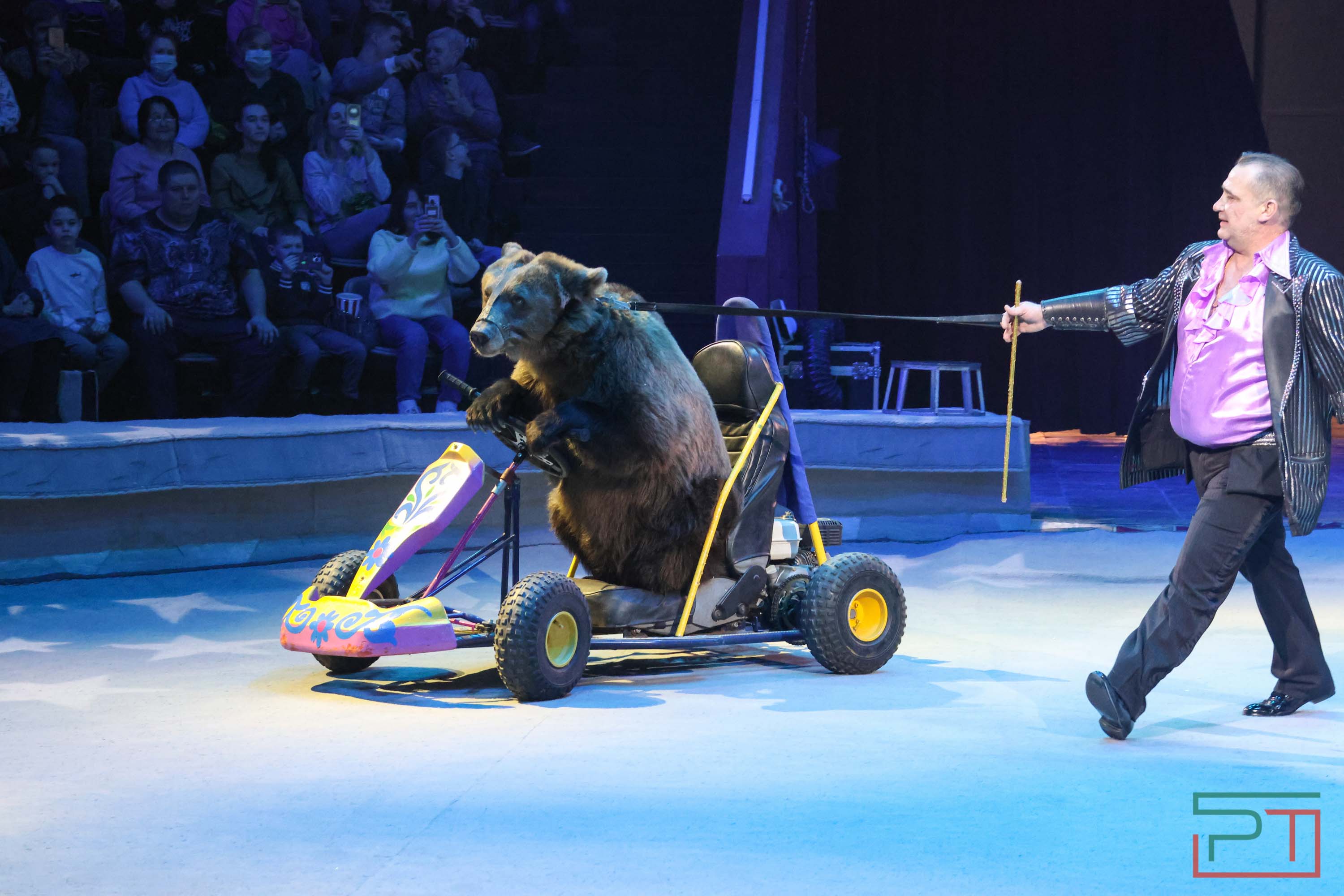 «Удивительная история»: в новой программе казанского цирка вспомнили 9 мая 1945 года
