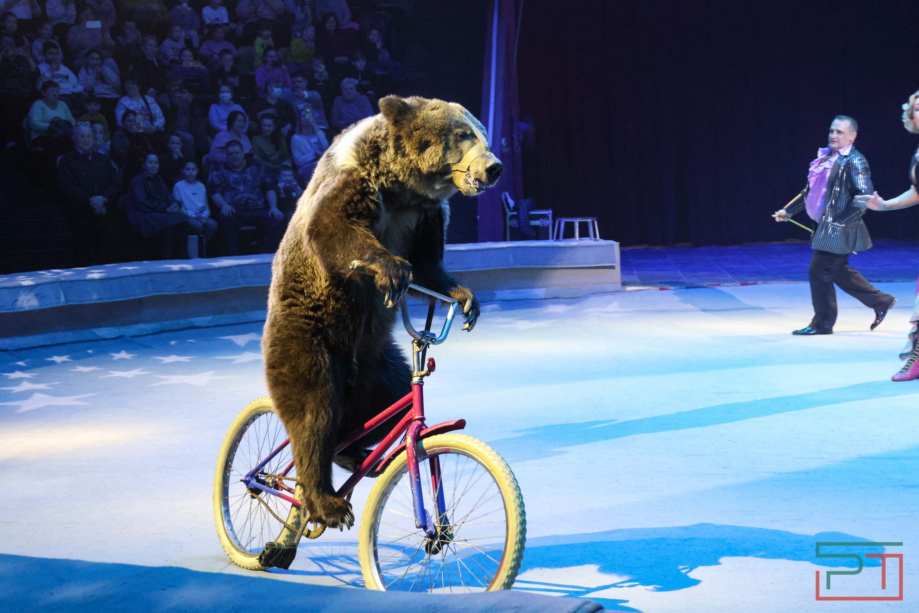 «Удивительная история»: в новой программе казанского цирка вспомнили 9 мая 1945 года