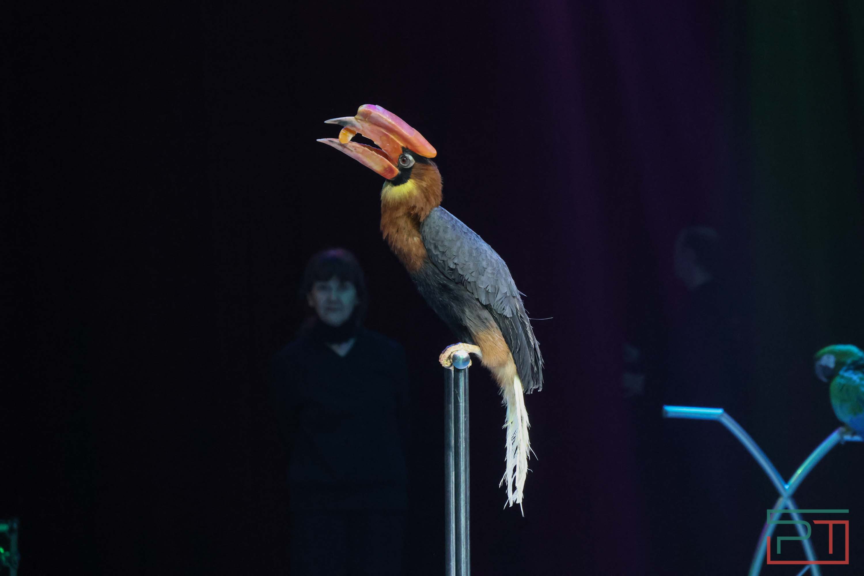 «Удивительная история»: в новой программе казанского цирка вспомнили 9 мая 1945 года