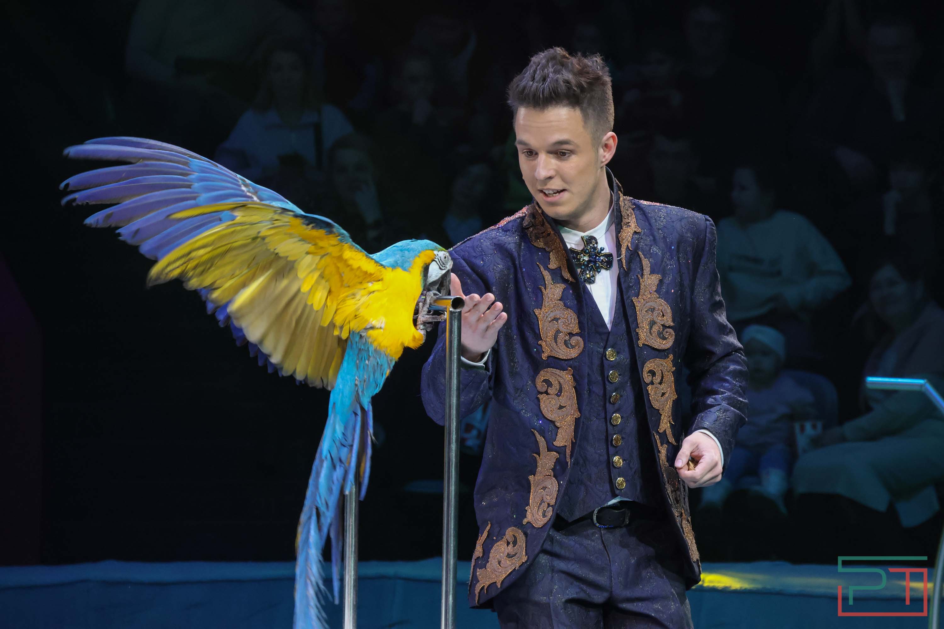 «Удивительная история»: в новой программе казанского цирка вспомнили 9 мая 1945 года