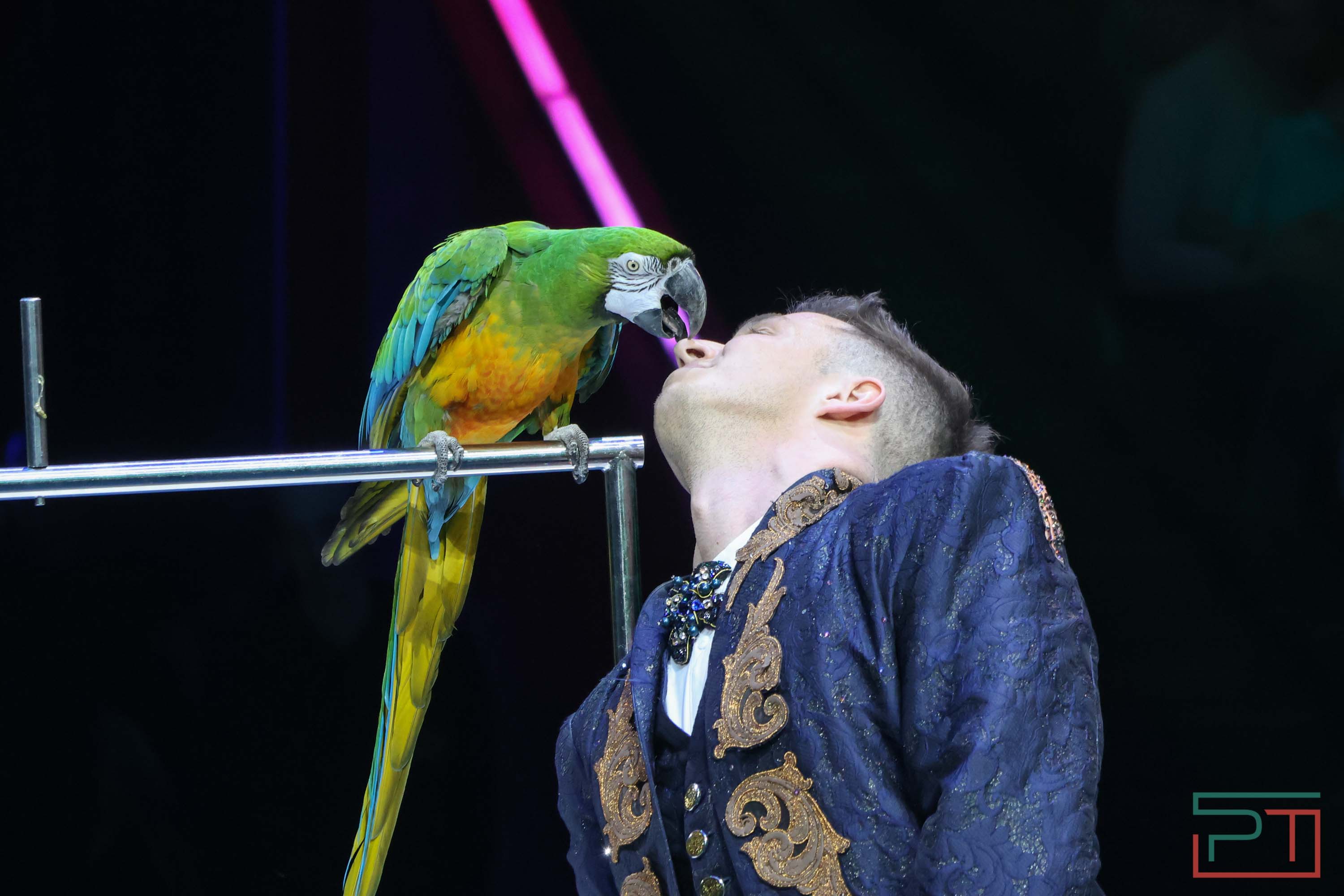 «Удивительная история»: в новой программе казанского цирка вспомнили 9 мая 1945 года