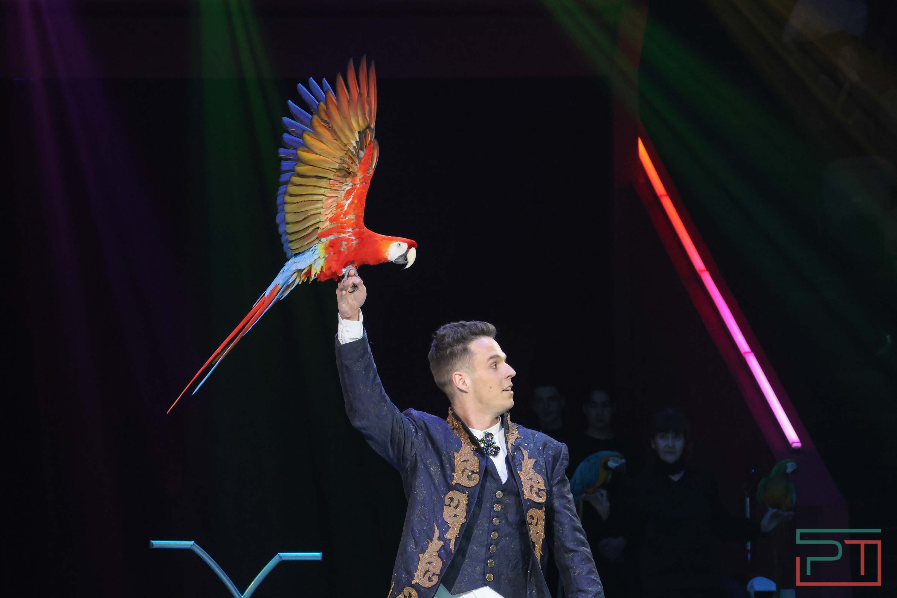 «Удивительная история»: в новой программе казанского цирка вспомнили 9 мая 1945 года