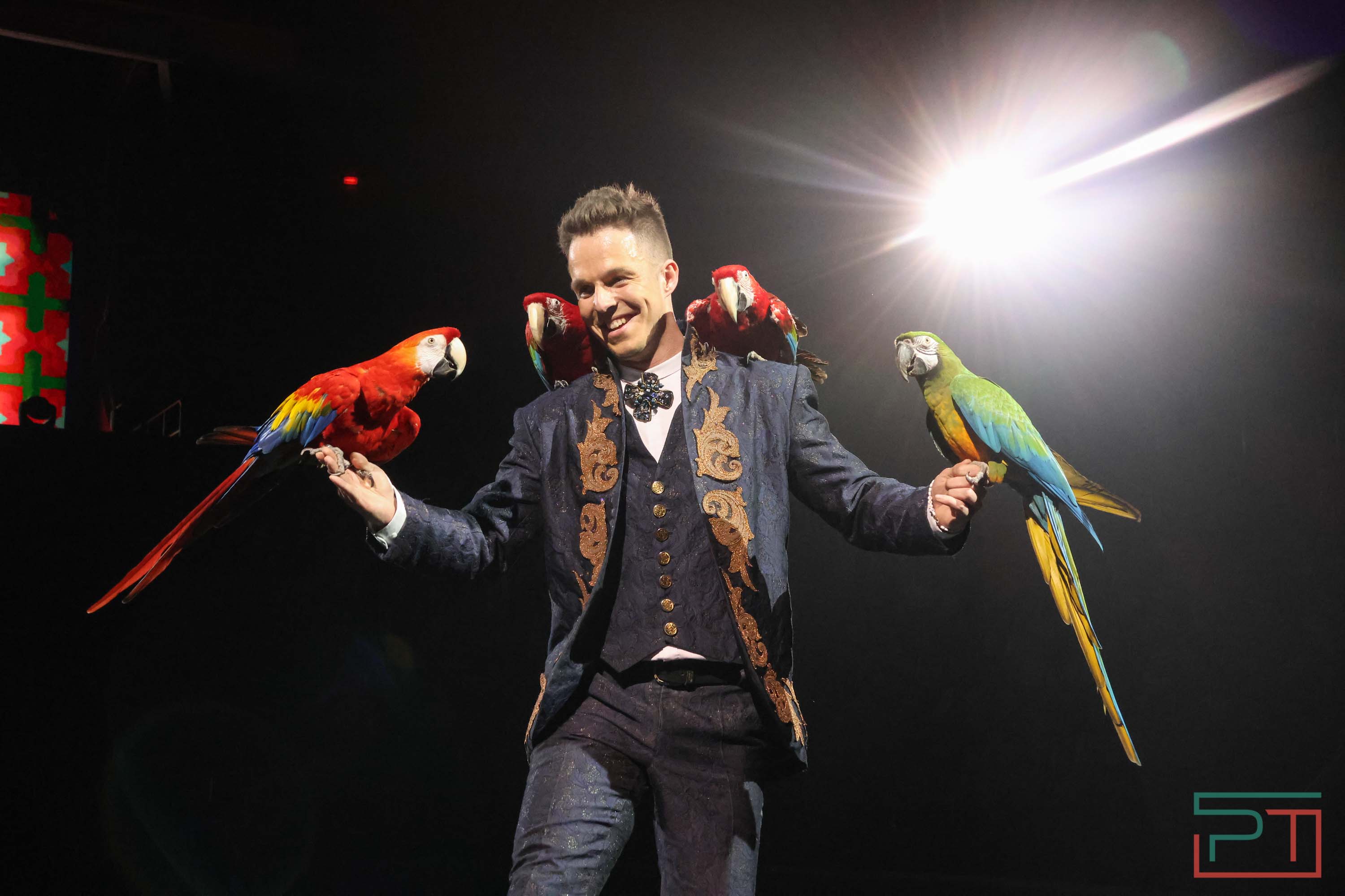 «Удивительная история»: в новой программе казанского цирка вспомнили 9 мая 1945 года