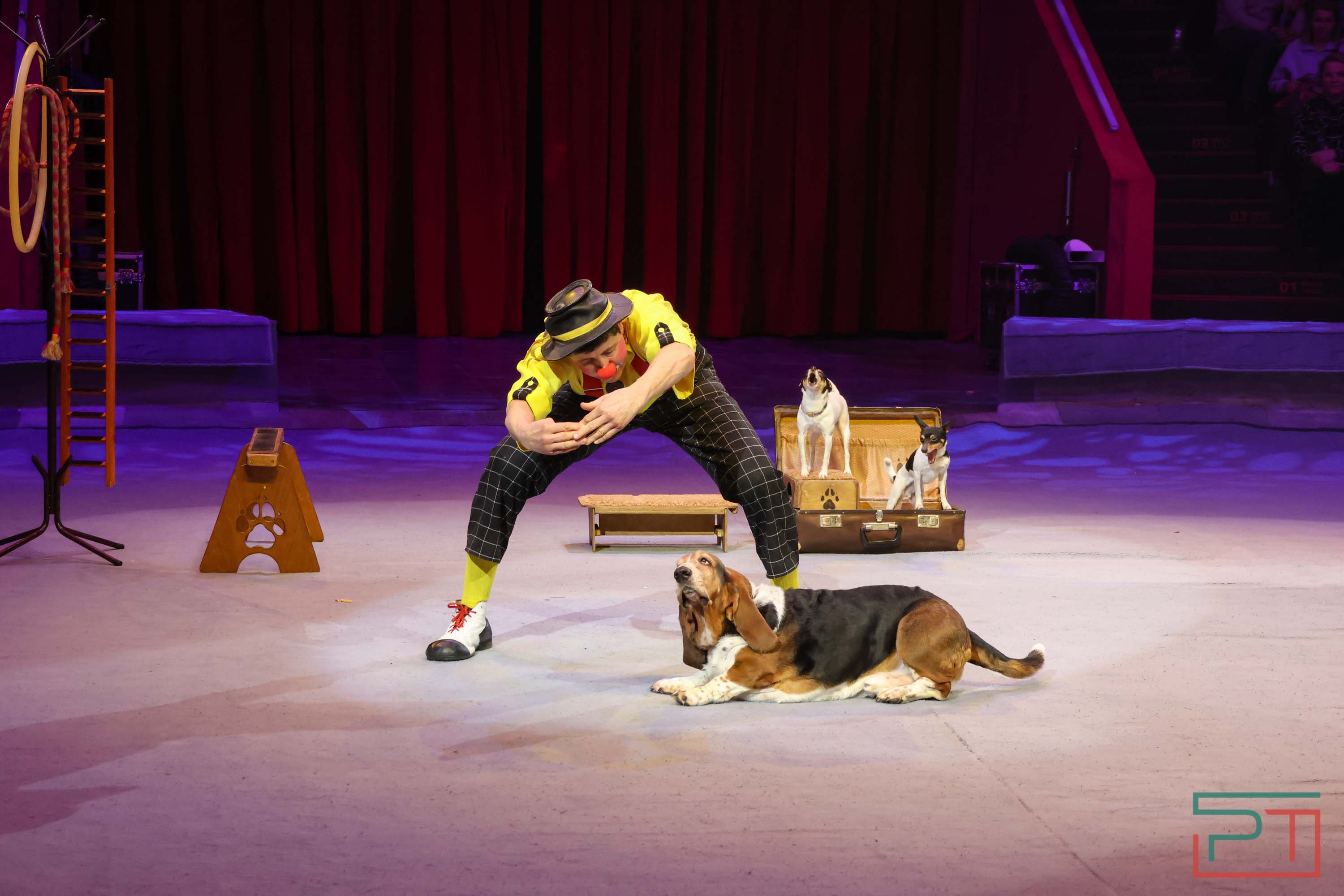 «Удивительная история»: в новой программе казанского цирка вспомнили 9 мая 1945 года