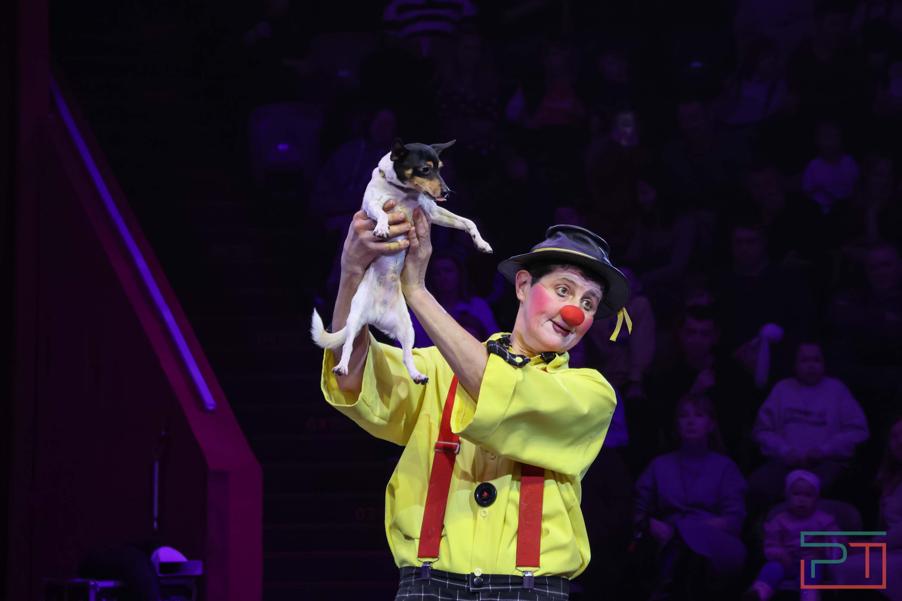 «Удивительная история»: в новой программе казанского цирка вспомнили 9 мая 1945 года