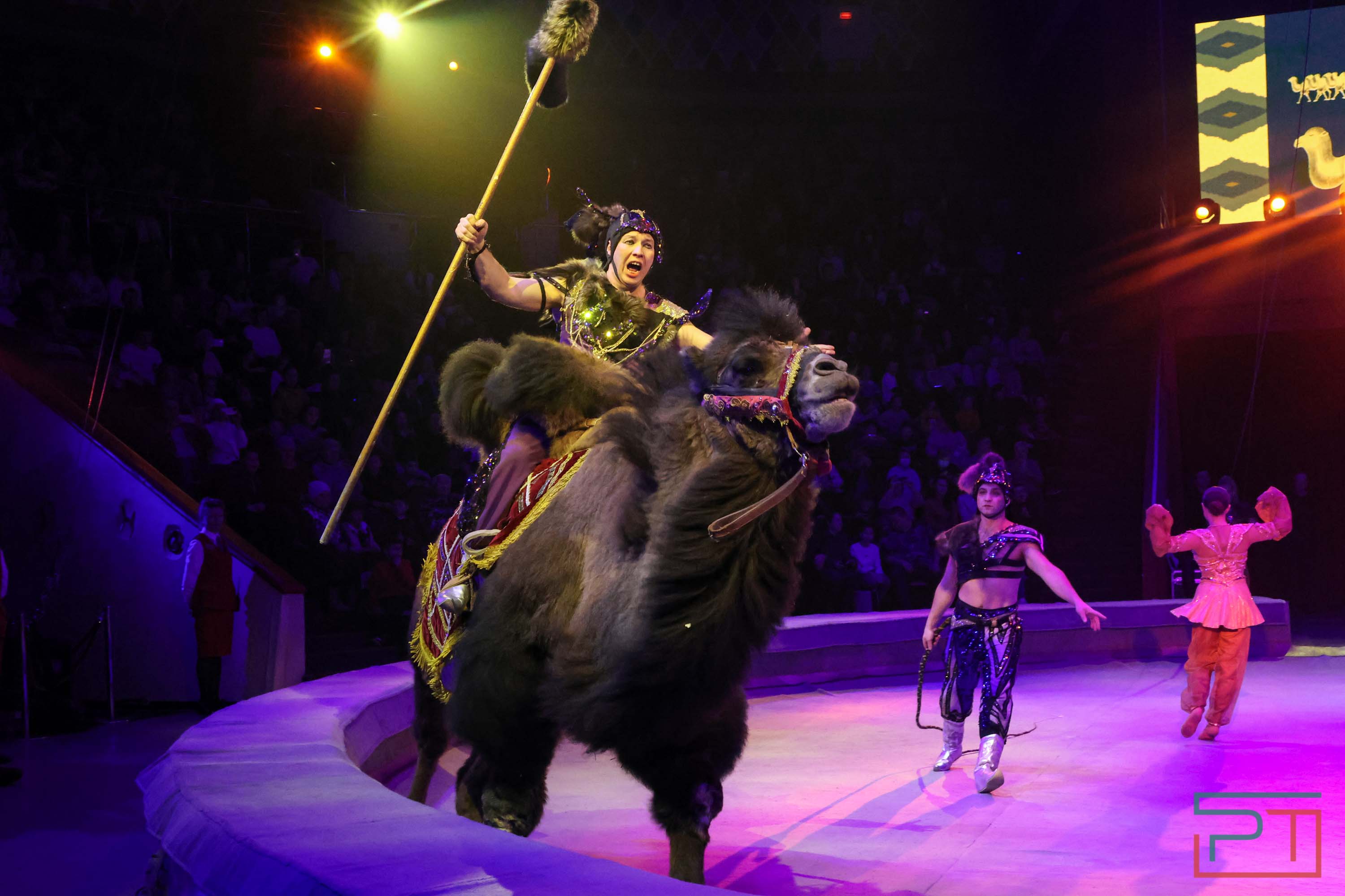 «Удивительная история»: в новой программе казанского цирка вспомнили 9 мая 1945 года