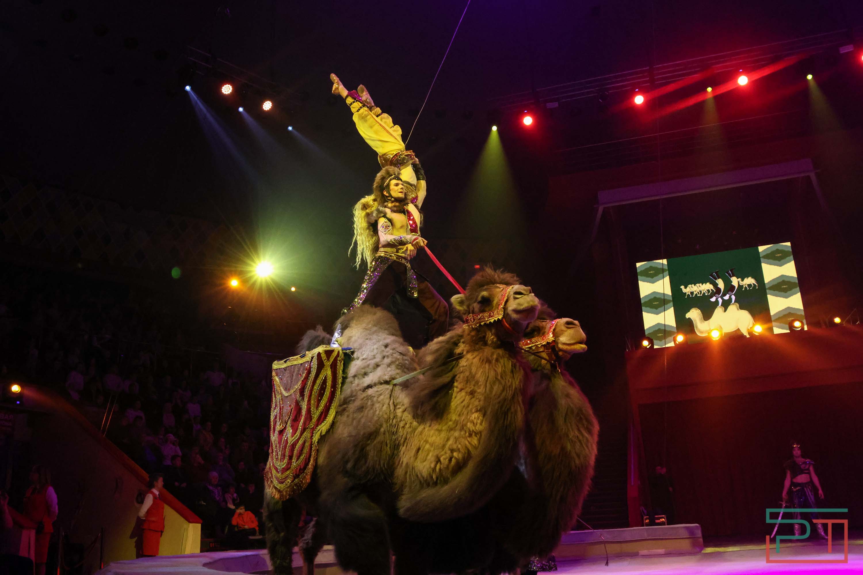 «Удивительная история»: в новой программе казанского цирка вспомнили 9 мая 1945 года