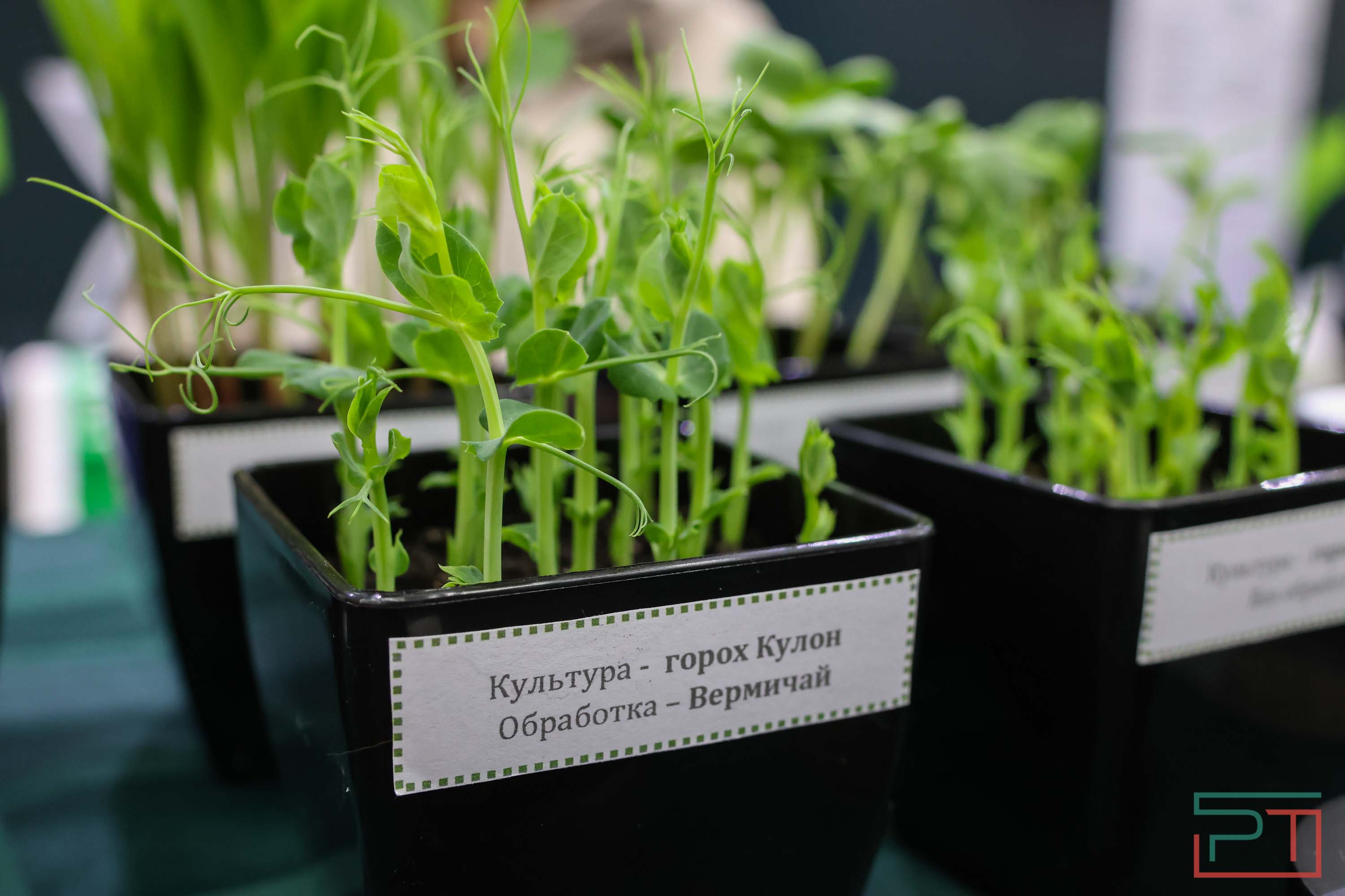 Минниханов осмотрел выставку «Казань Агро 2025»