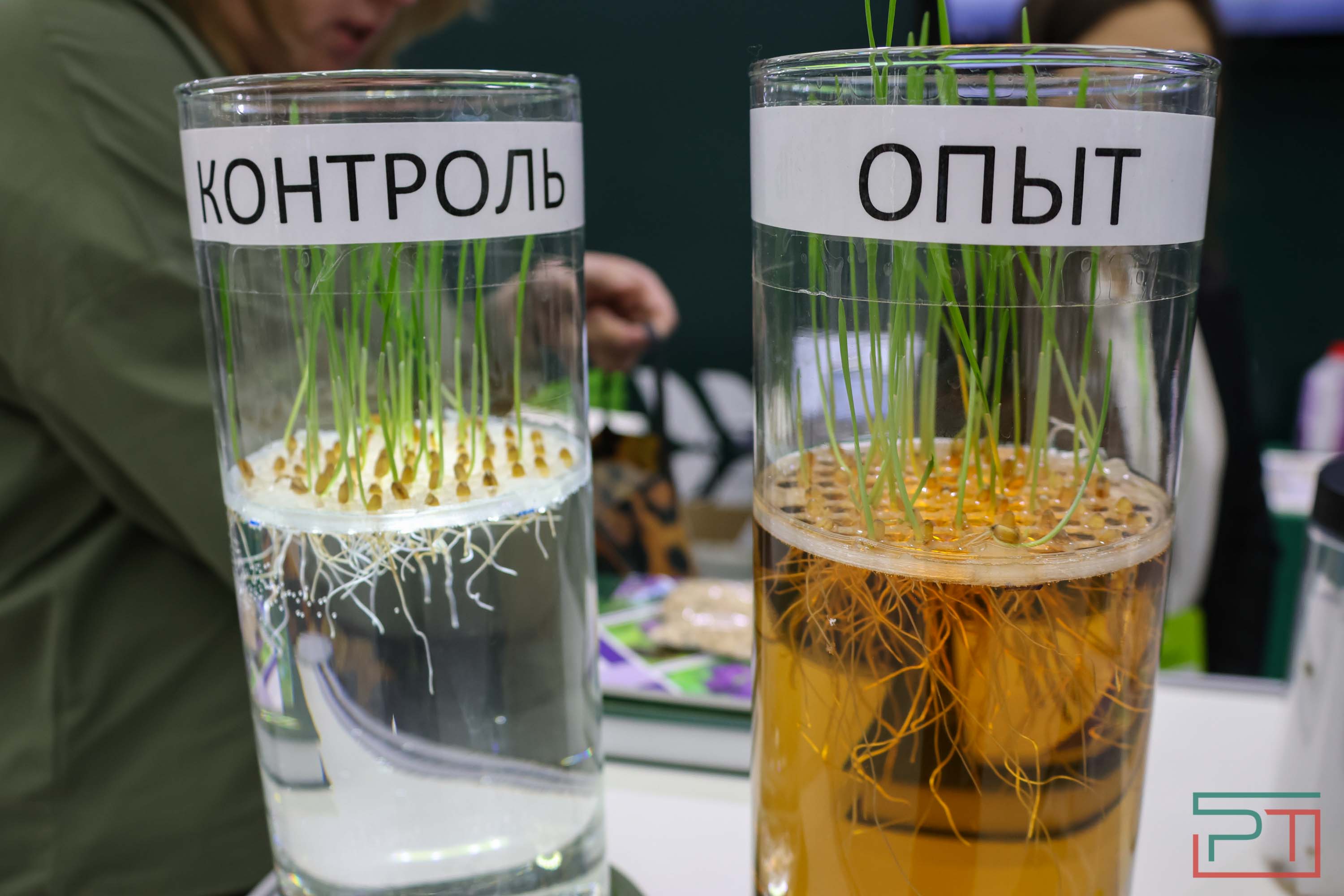 Минниханов осмотрел выставку «Казань Агро 2025»