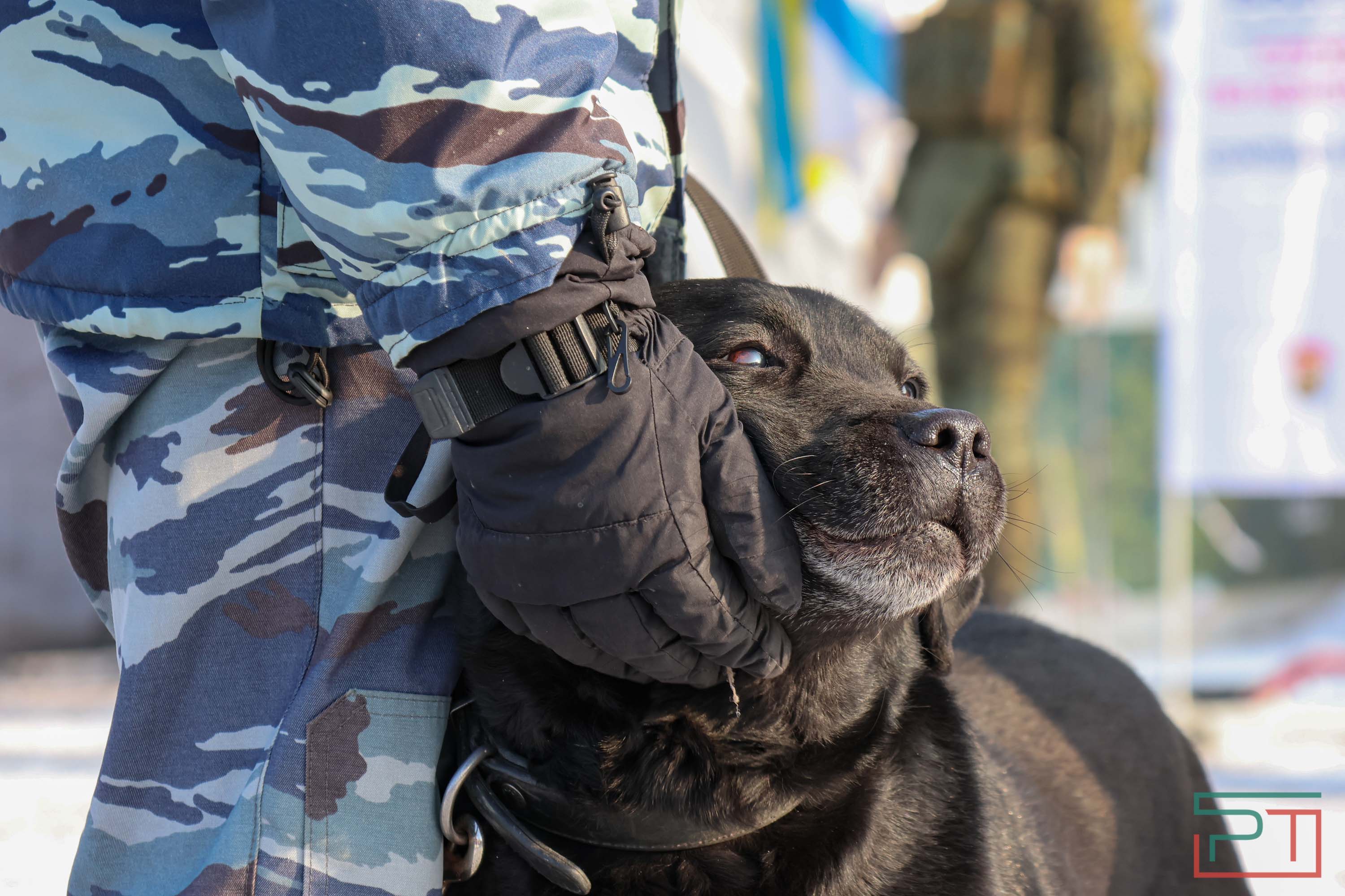 Война глазами Лидии: в Казань прибыл Поезд Победы