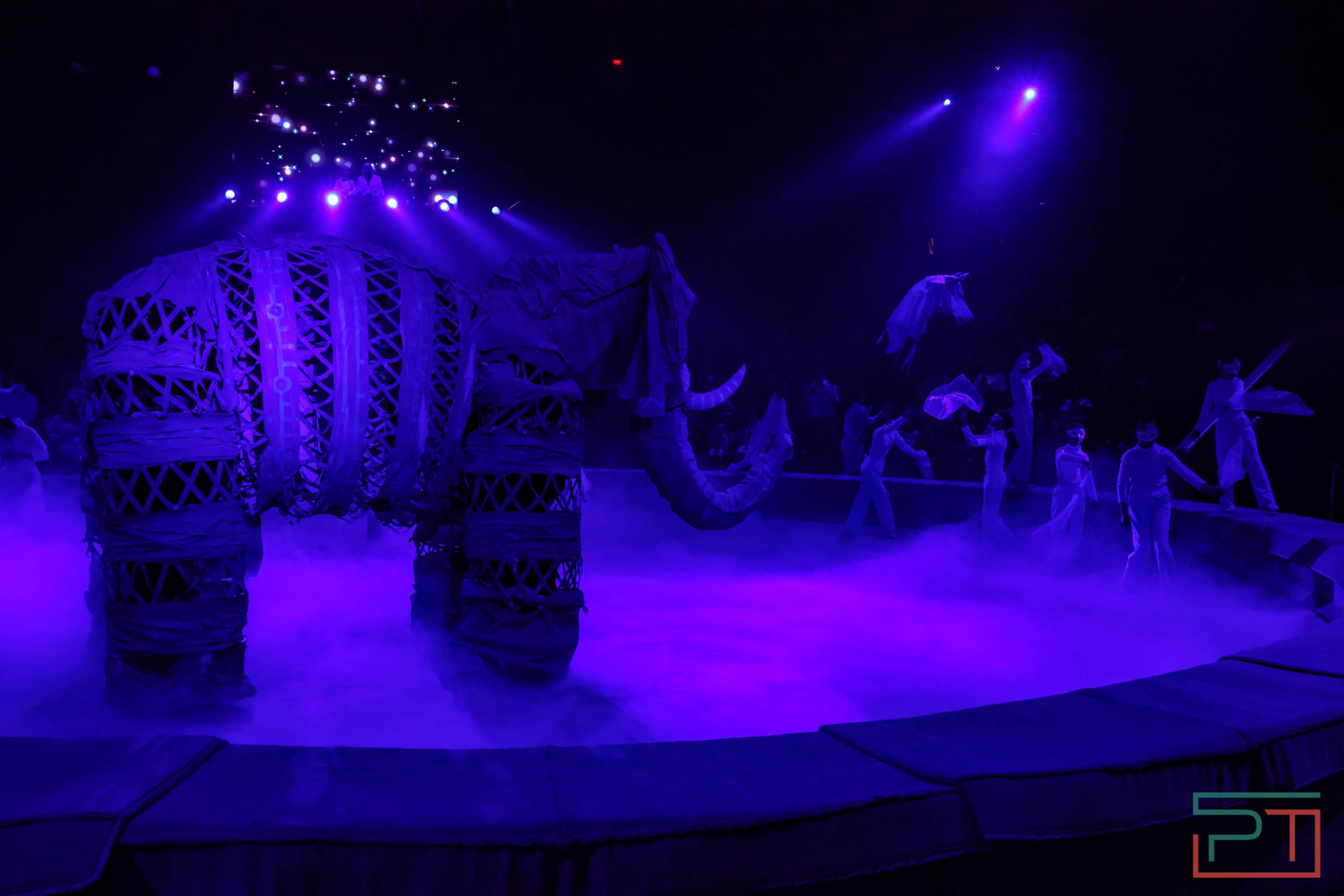 «Удивительная история»: в новой программе казанского цирка вспомнили 9 мая 1945 года