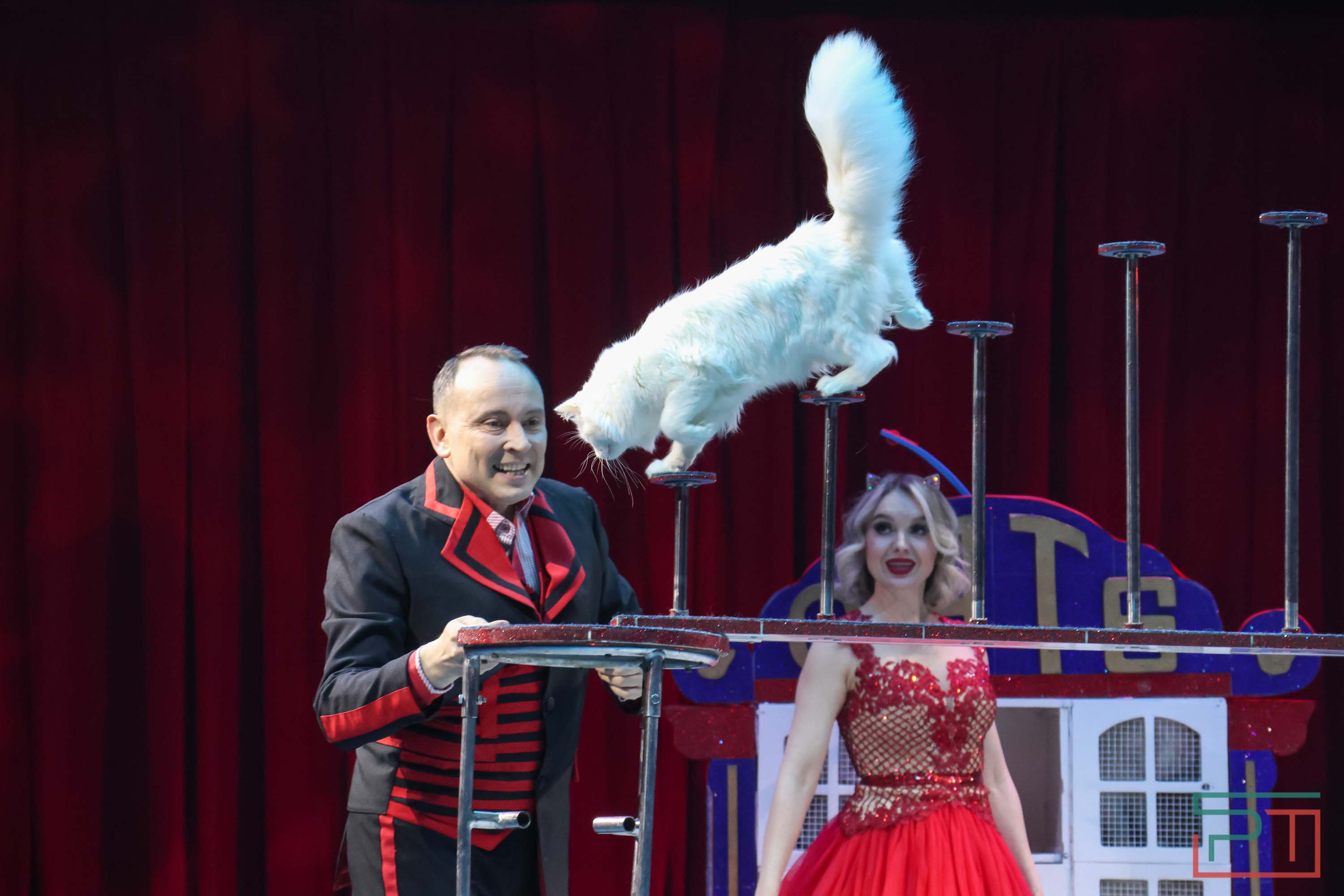 «Удивительная история»: в новой программе казанского цирка вспомнили 9 мая 1945 года